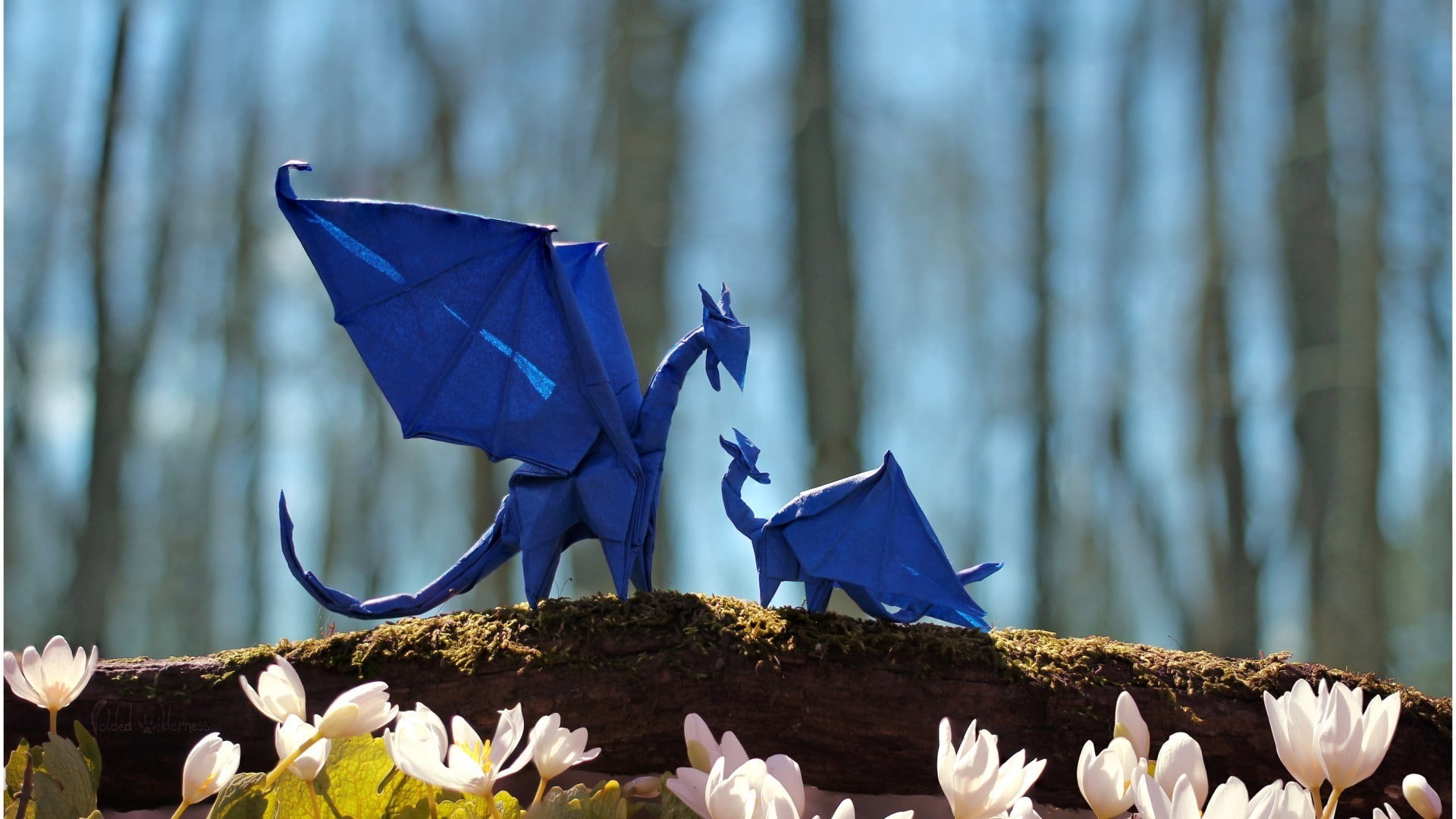 plant, tail, representation, paper, sculpture, day, fantasy art, no people, 1080P, flowers, vertebrate, tree, flowering plant, blue, focus on foreground, HD Wallpaper