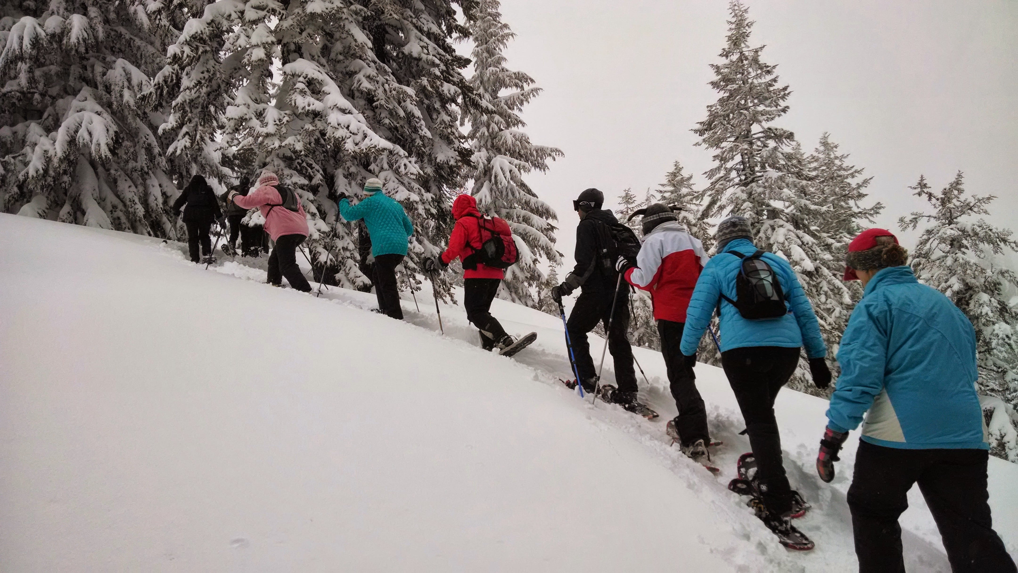 landscape, snowshoeing, leisure activity, women, frozen, trail, hill, crowd, people, real people, large group of people, season, activity, lifestyle, snowy, HD Wallpaper