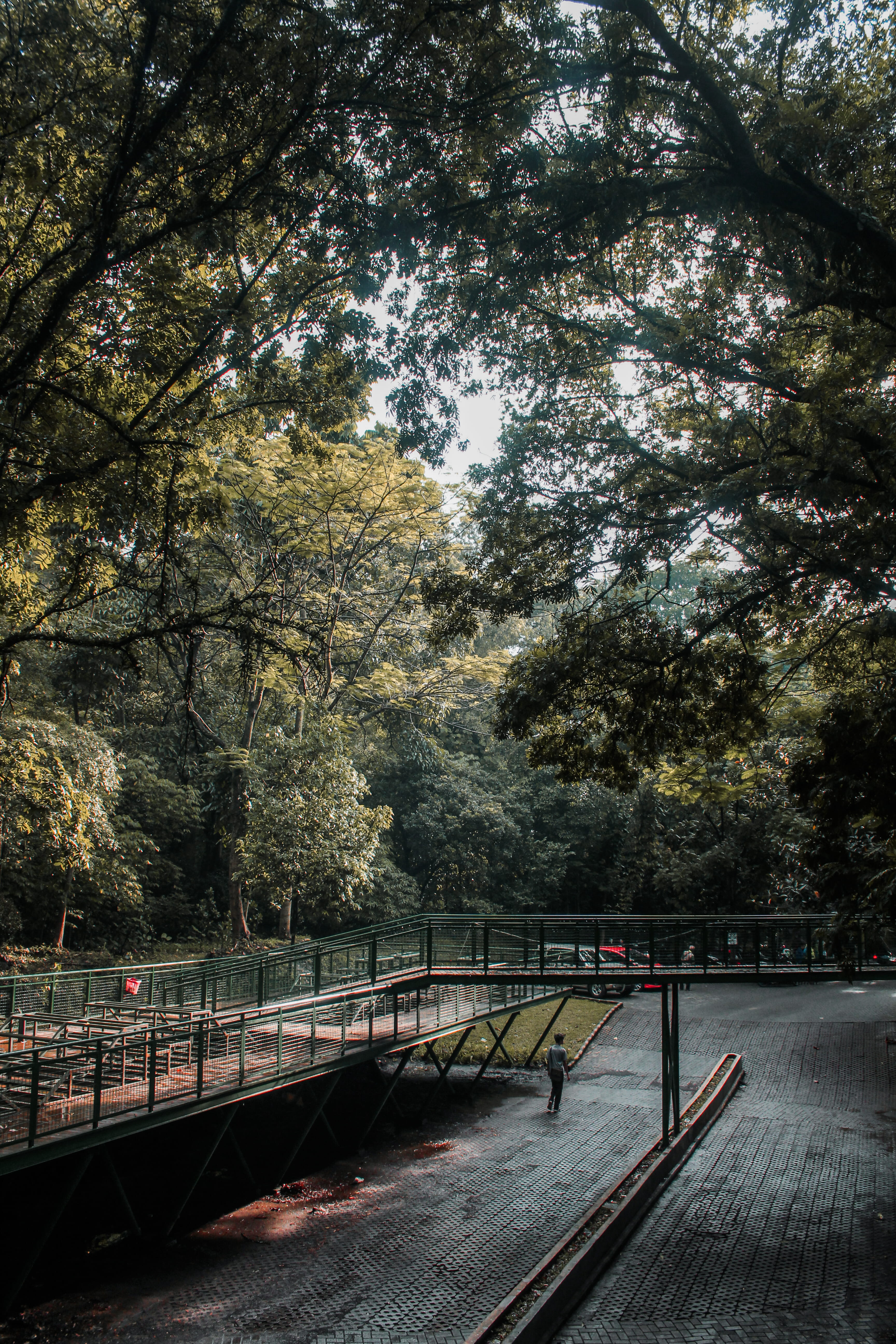 built structure, architecture, trees, the way forward, indonesia, tranquility, bridge - man made structure, wood, forest, change, forest walk babakan siliwangi, Phone HD Wallpaper
