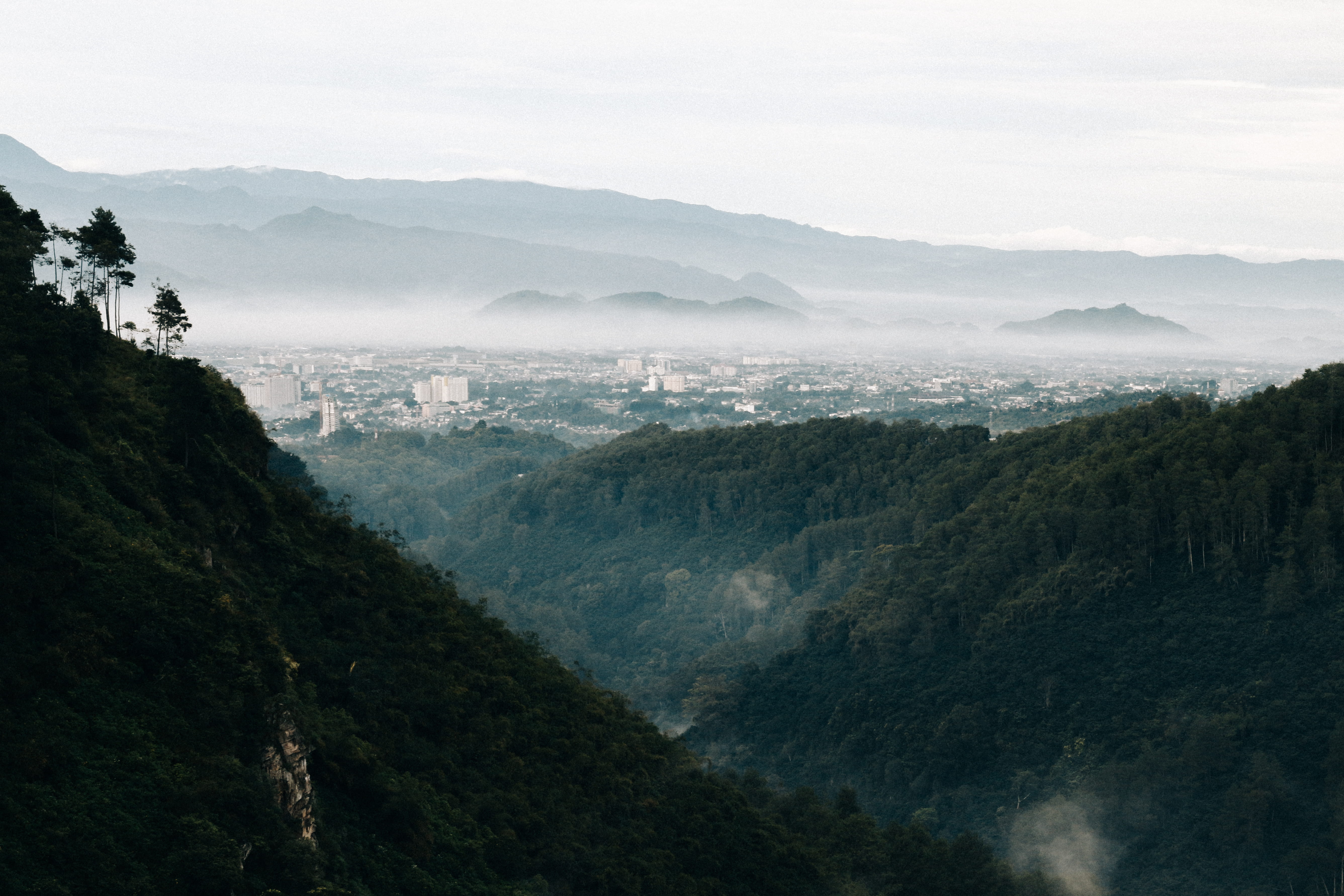 forest, nature, cliff, no people, tree, beauty in nature, city, landscape, foggy, fog, tranquility, tranquil scene, cloud - sky, cold, bandung, 5K, sky, HD Wallpaper