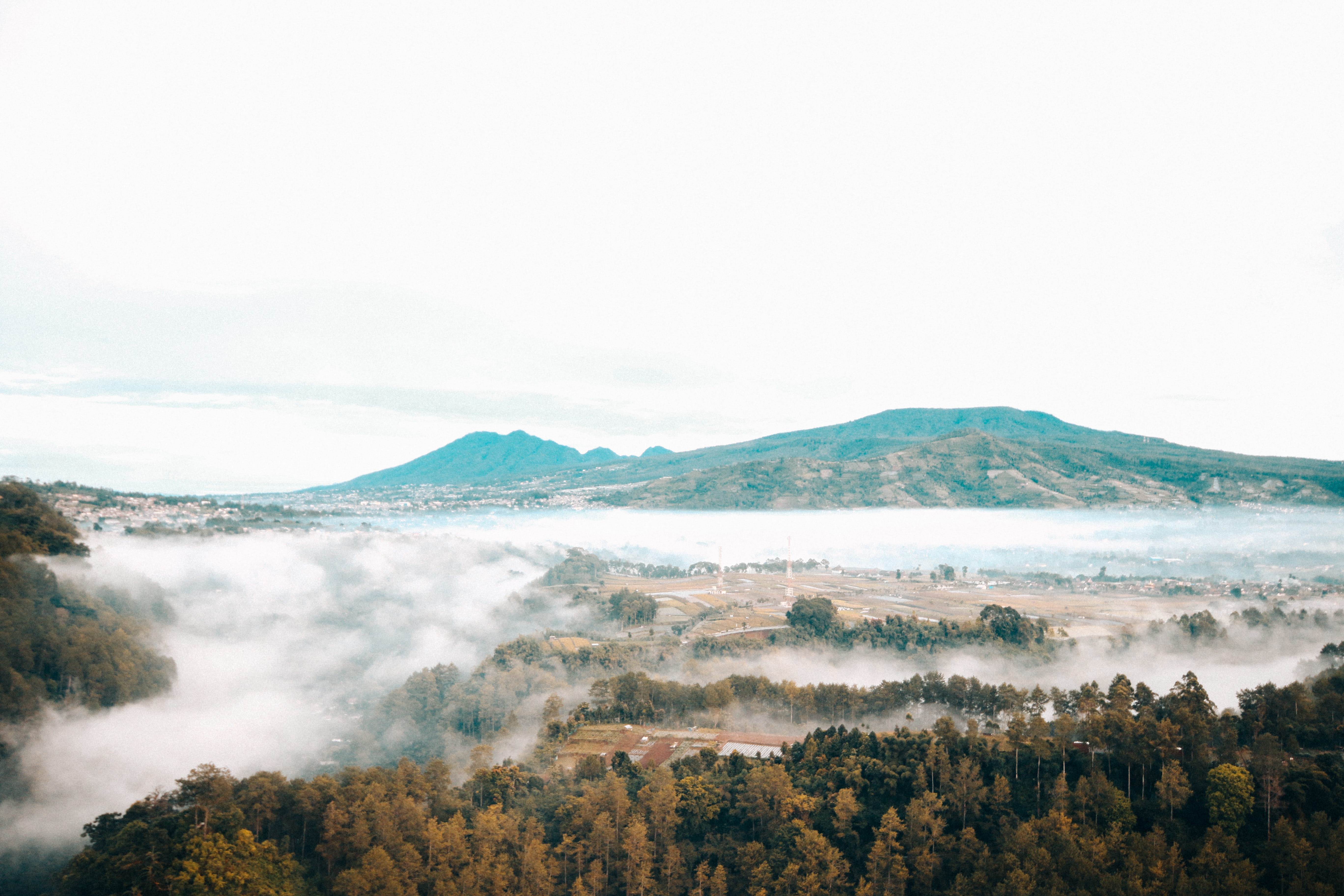 landscape, forest, environment, tree, 5K, morning, no people, fog, land, clouds, plant, tranquility, scenics - nature, sky, water, tranquil scene, non-urban scene, HD Wallpaper