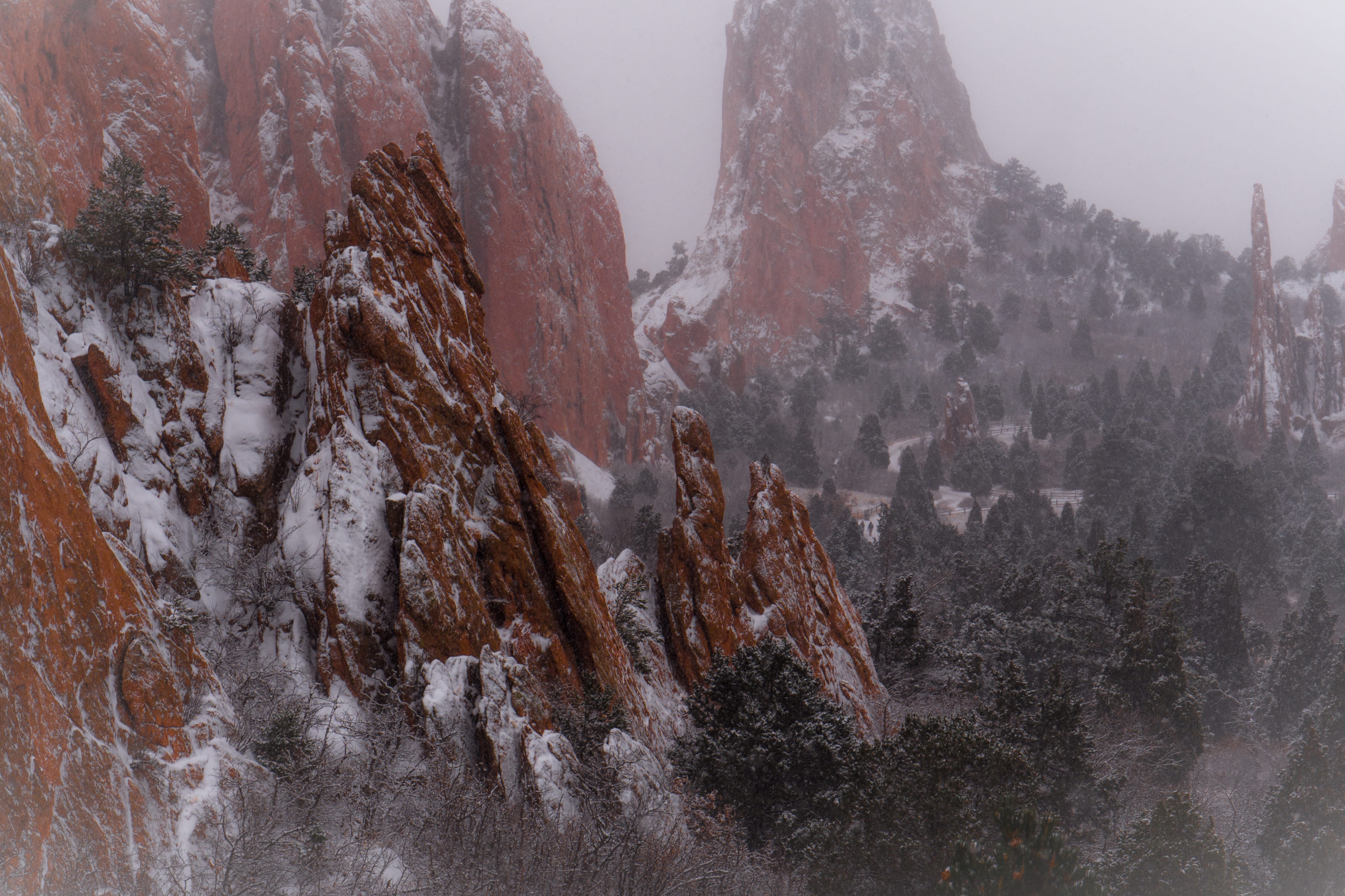 outdoors, sky, plant, tranquil scene, colorado springs, beauty in nature, fog, non-urban scene, 4K, cold temperature, tranquility, garden of the gods visitor and nature center, HD Wallpaper