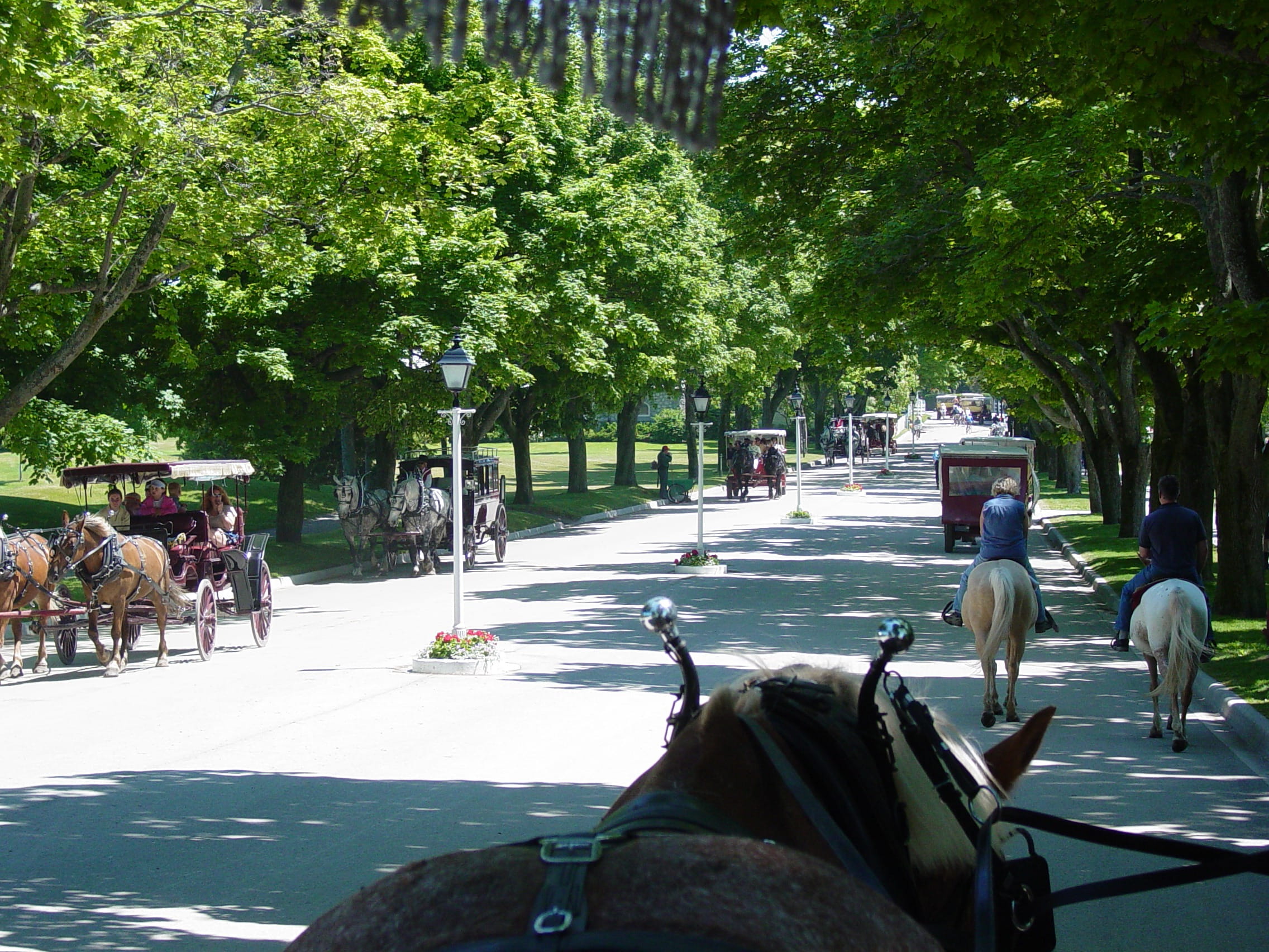 leisure activity, nostalgia, day, mode of transportation, city, plant, green color, adult, Mackinac Island, real people, means of transport, 1080P, Water, HD Wallpaper