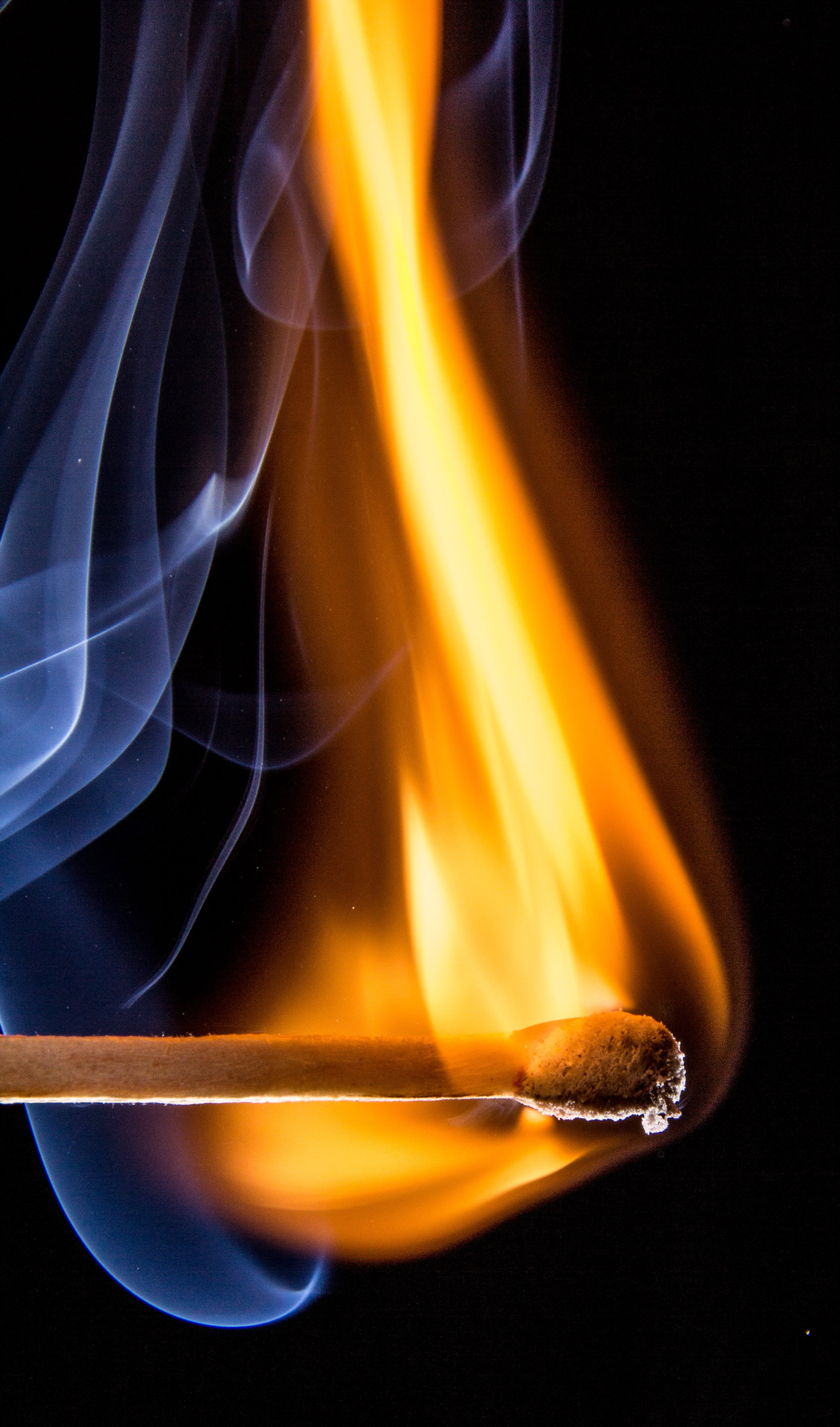 sulfur, match head, backgrounds, close-up, burns, yellow, 4K, burn, indoors, flame, black background, red, matchstick, burning, motion, studio shot, orange color, Phone HD Wallpaper