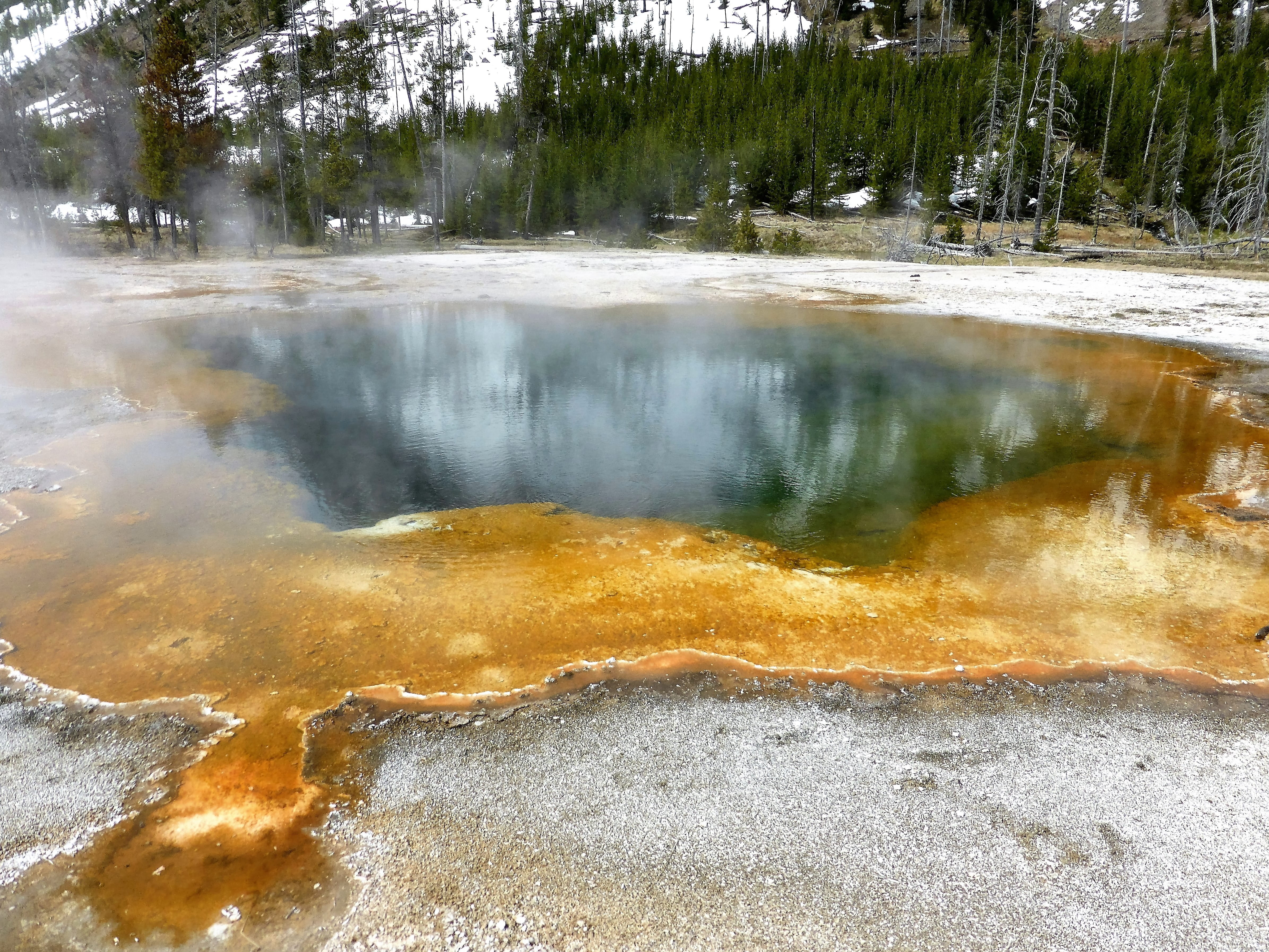 tranquil scene, scenics - nature, tree, steam, physical geography, nature, power in nature, 4K, plant, hot spring, tranquility, geology, National Park, HD Wallpaper