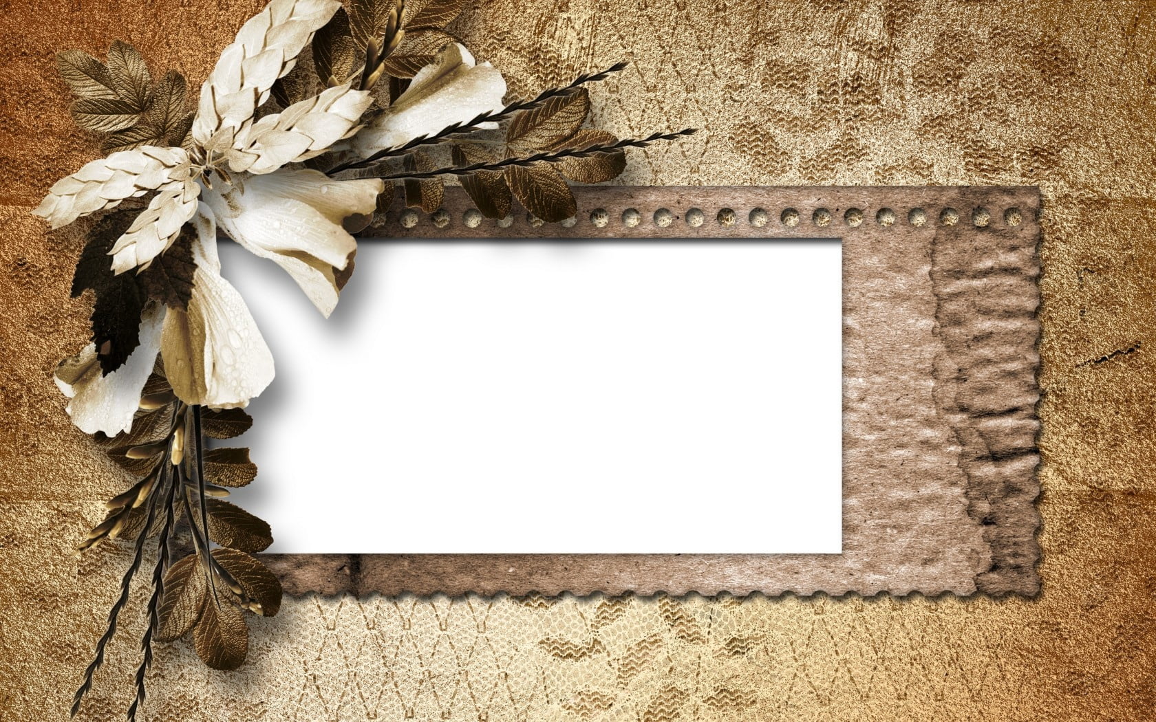 plant, nature, old, close-up, 720P, decoration, wooden, petals, retro, frame, message, empty, photo, copy Space, backgrounds, no People, table, autumn, HD Wallpaper