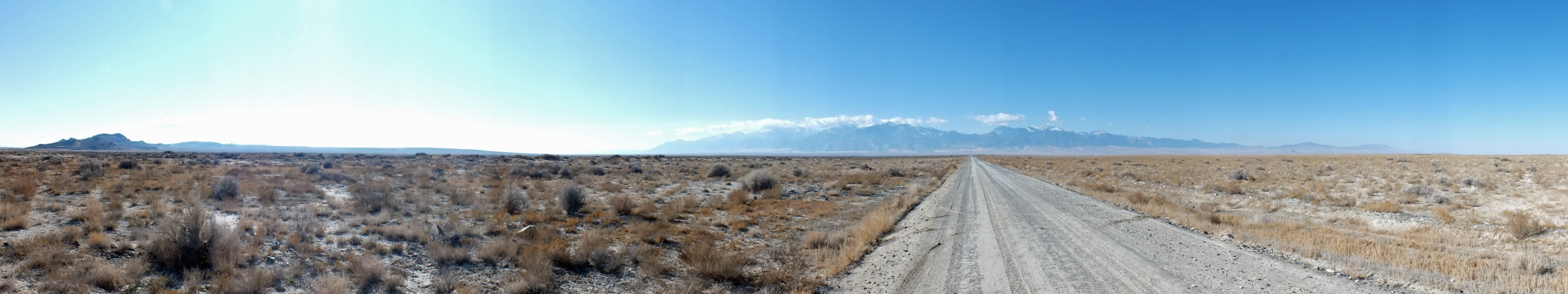 Bushes, grass, land, landscape, panorama, horizon, dirt road, Earth, environment, direction, copy space, road, dry grass, semi-arid, scenics - nature, plains, HD Wallpaper