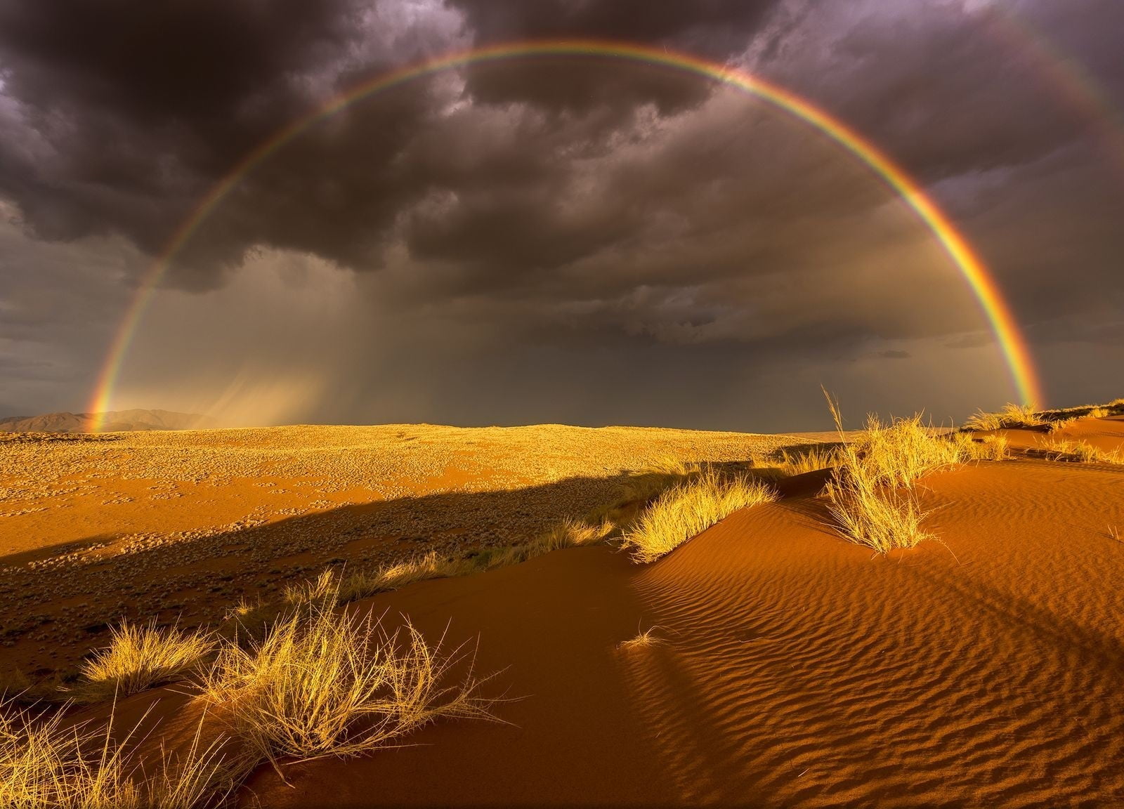 sunlight, 720P, photography, climate, outdoors, sand, nature, tranquility, clouds, desert, rainbows, no people, fish, dark, storm, cloud - sky, idyllic, HD Wallpaper