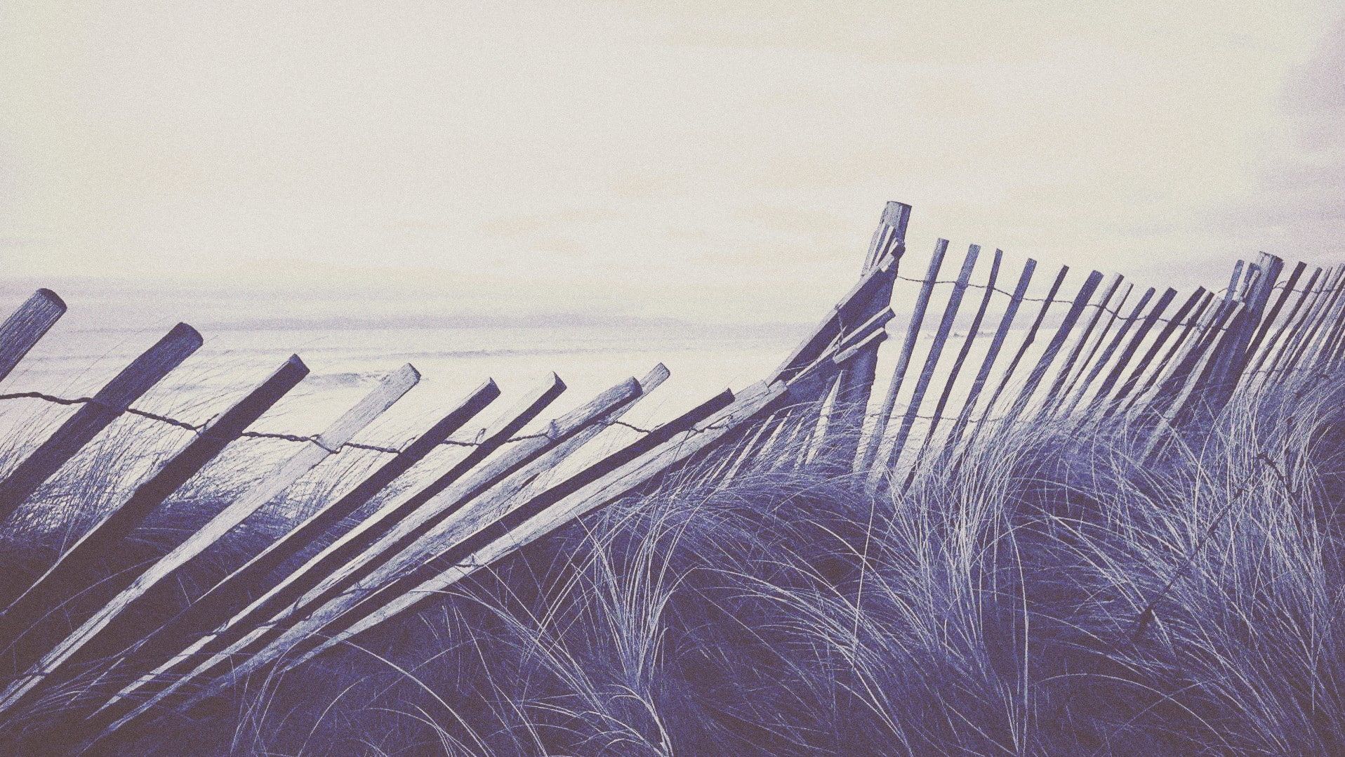 railing, sea, boundary, nature, water, environment, beauty in nature, beach, wood - material, dry grass, 720P, day, land, tranquil scene, sky, fence, barrier, HD Wallpaper