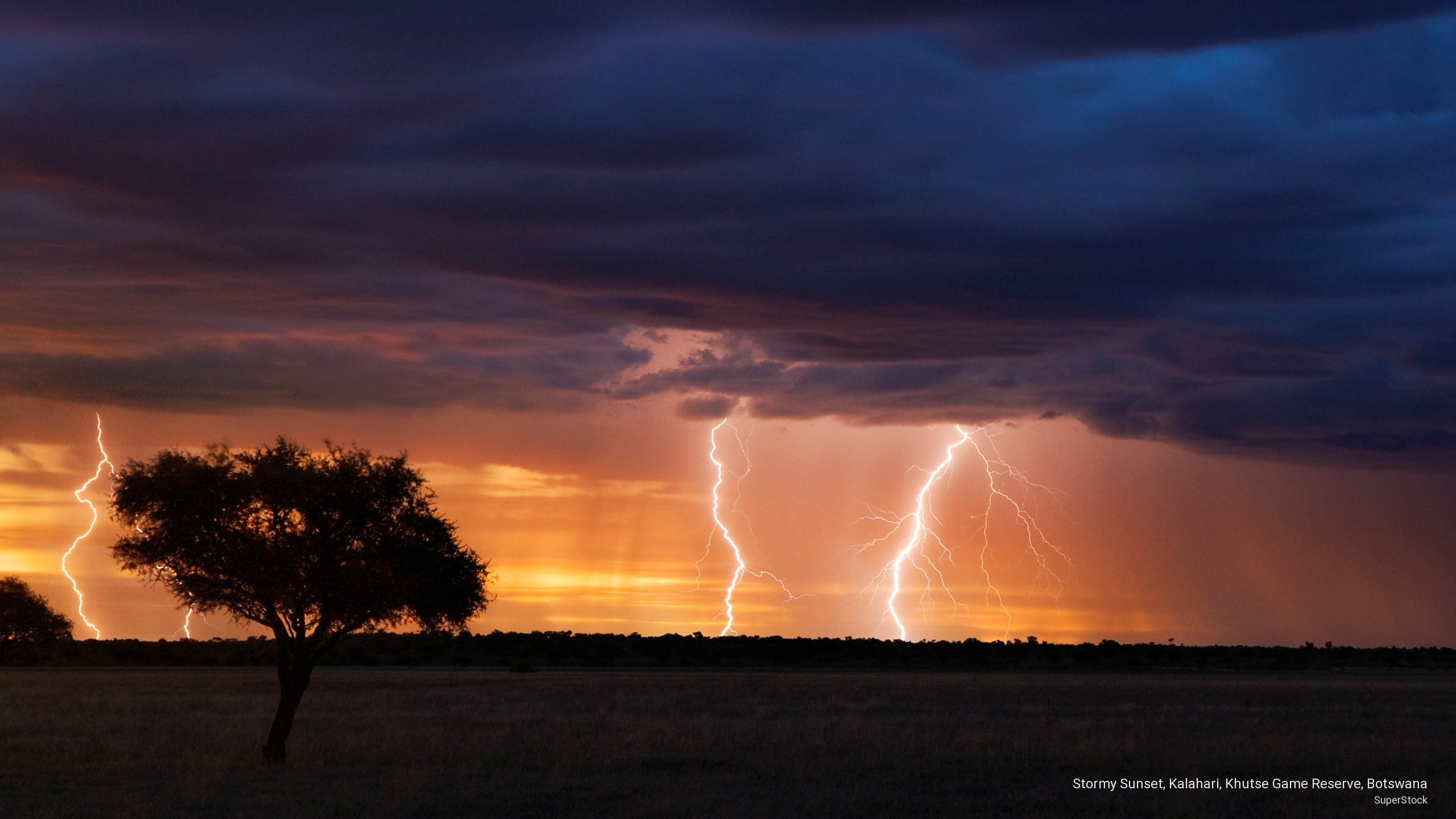 reserve, game, khutse, stormy, sunset, Weather, 2K, botswana, kalahari, HD Wallpaper