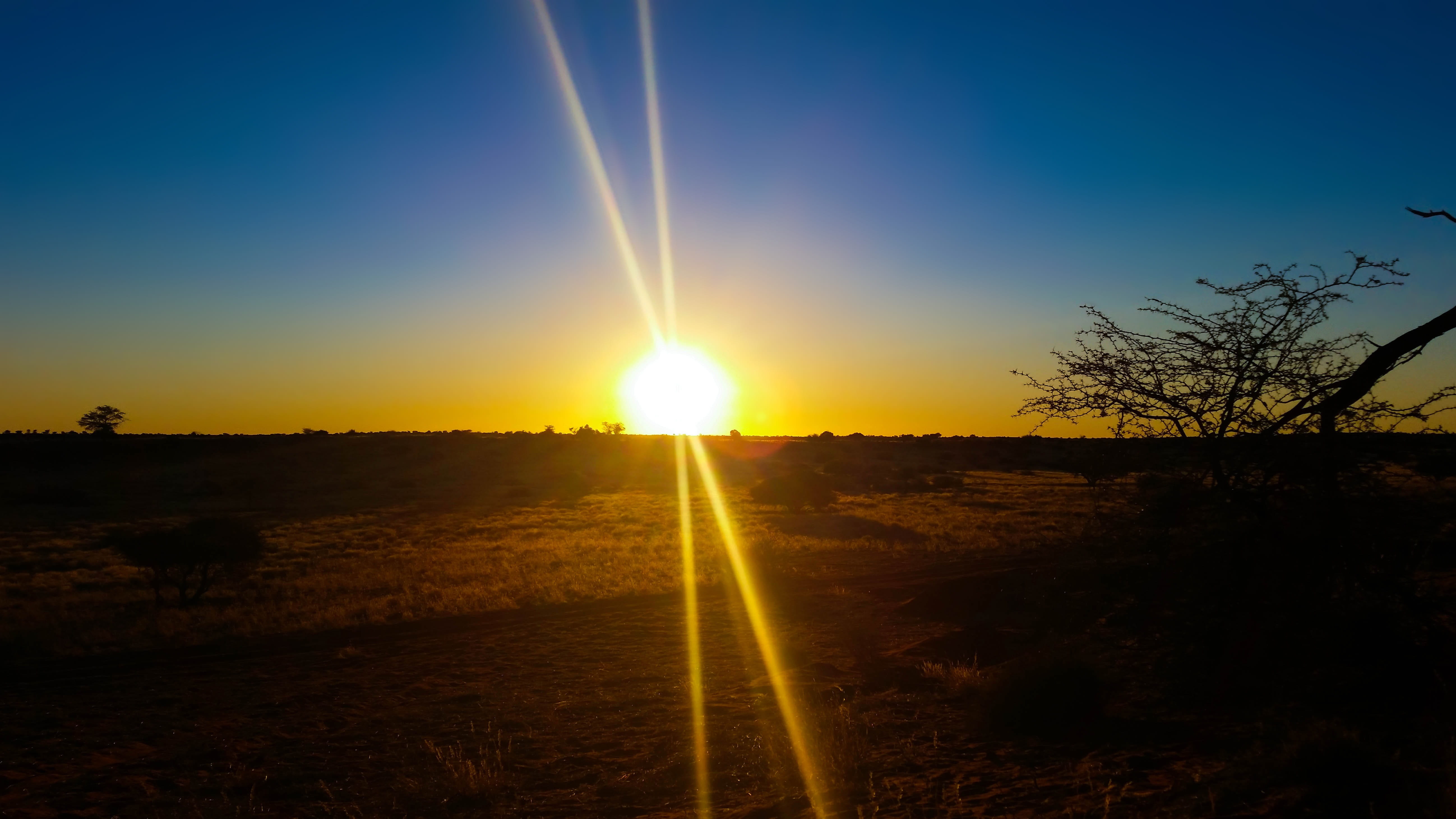sun, landscape, scenics - nature, tranquil scene, namibia, orange color, tree, brightly lit, idyllic, sunset, plant, beauty in nature, sunlight, 5K, sunbeam, HD Wallpaper