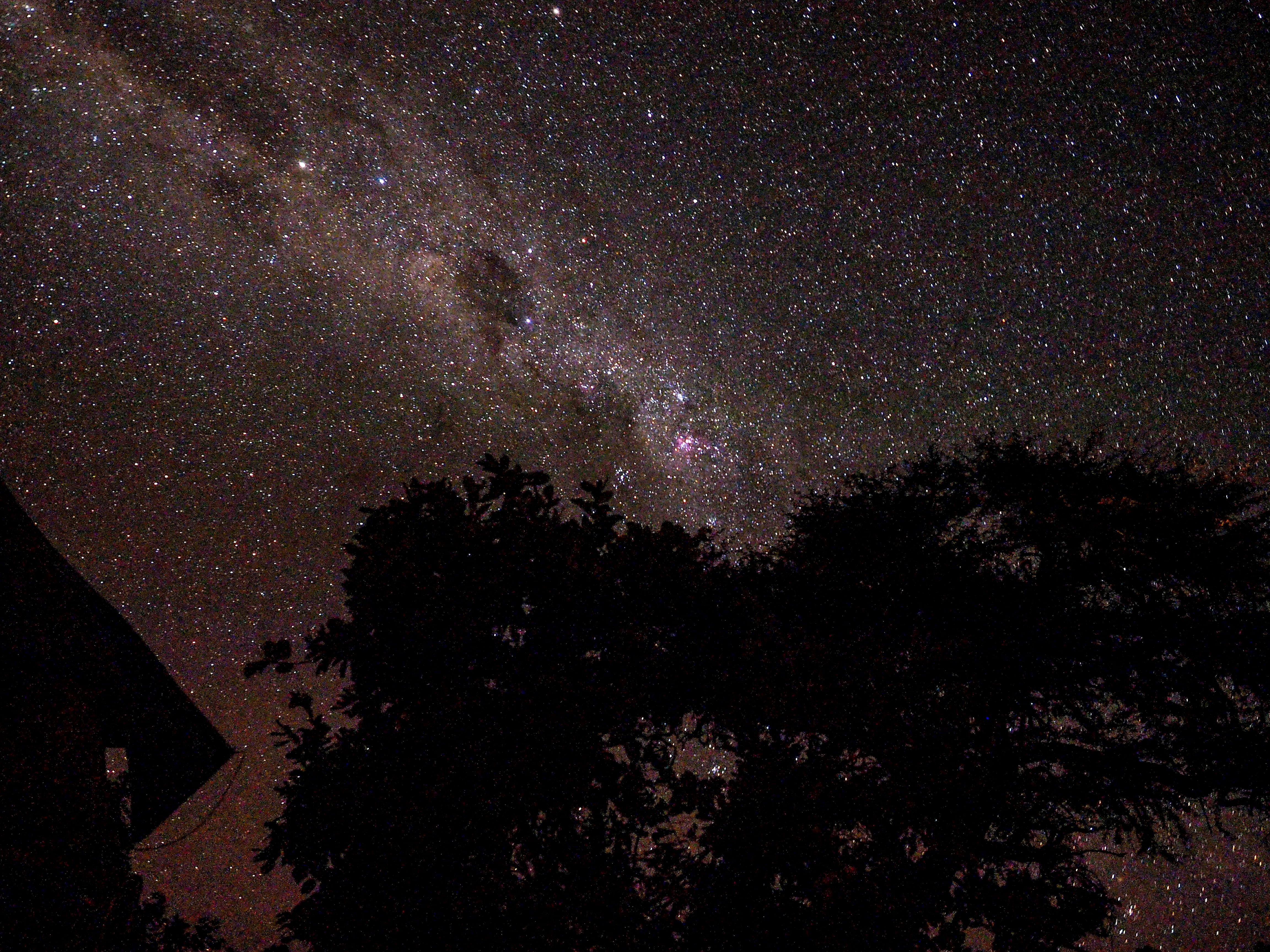 starry, silhouette, nighttime, no people, star field, stars, space and astronomy, tree, infinity, astronomy, tranquility, voie, beauty in nature, sky, tranquil scene, HD Wallpaper