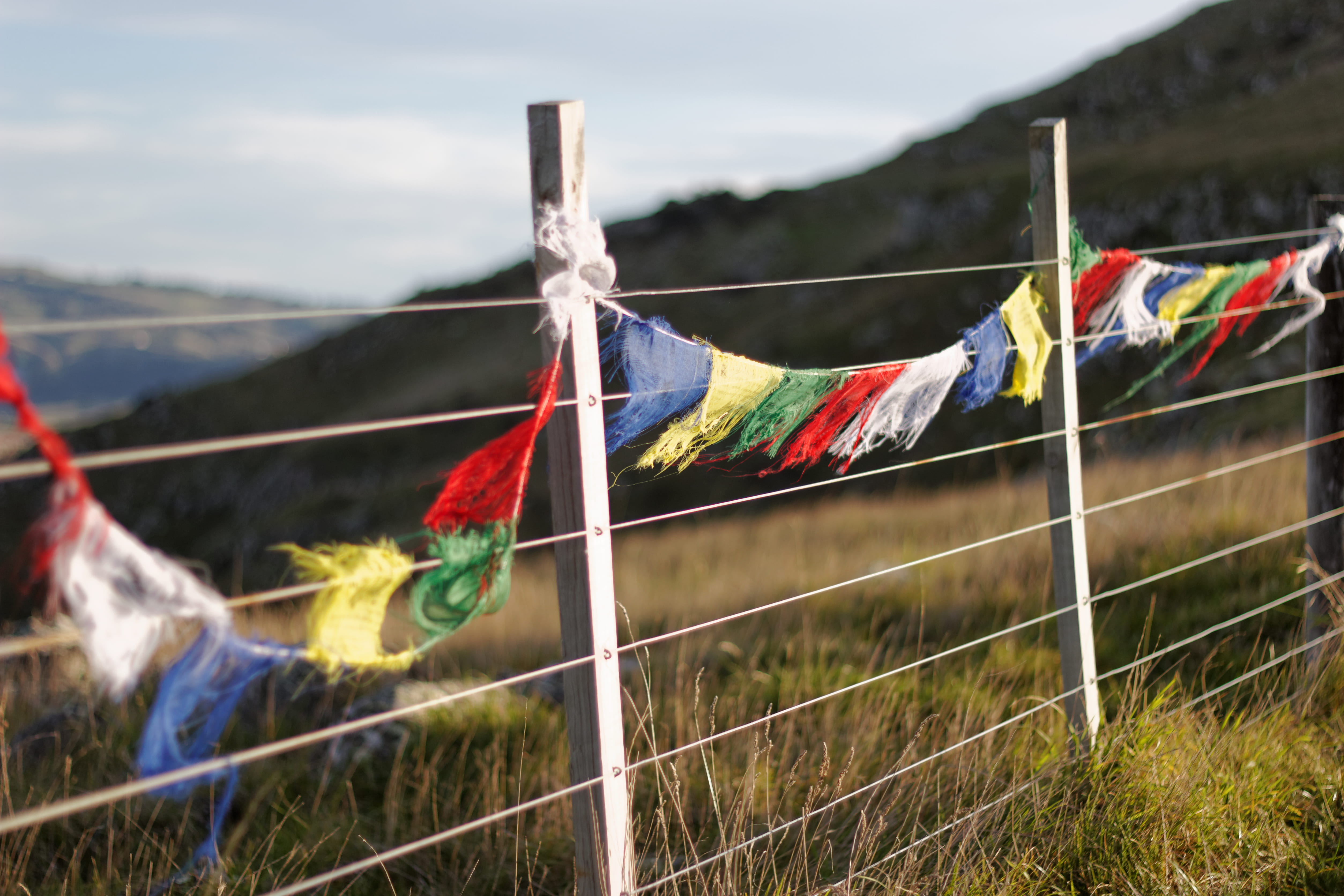 multi colored, day, buntings, no people, post, laundry, bunting, nature, emblem, prayer, drying, barrier, environment, multicolored, land, sky, hanging, HD Wallpaper