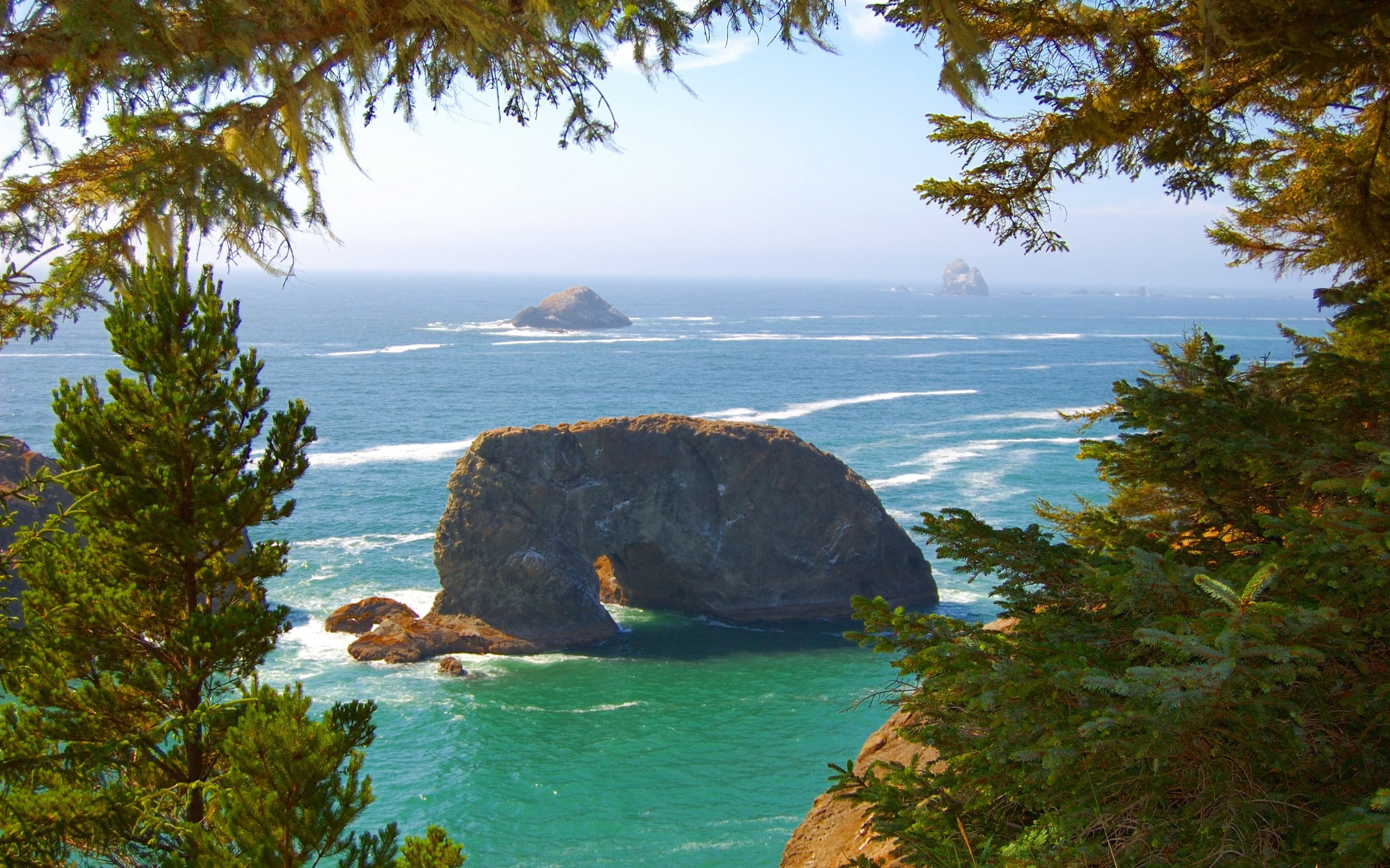 Pacific, Rocks, Waves, Oregon, 2K, Sea, Trees, Coast, USA, HD Wallpaper