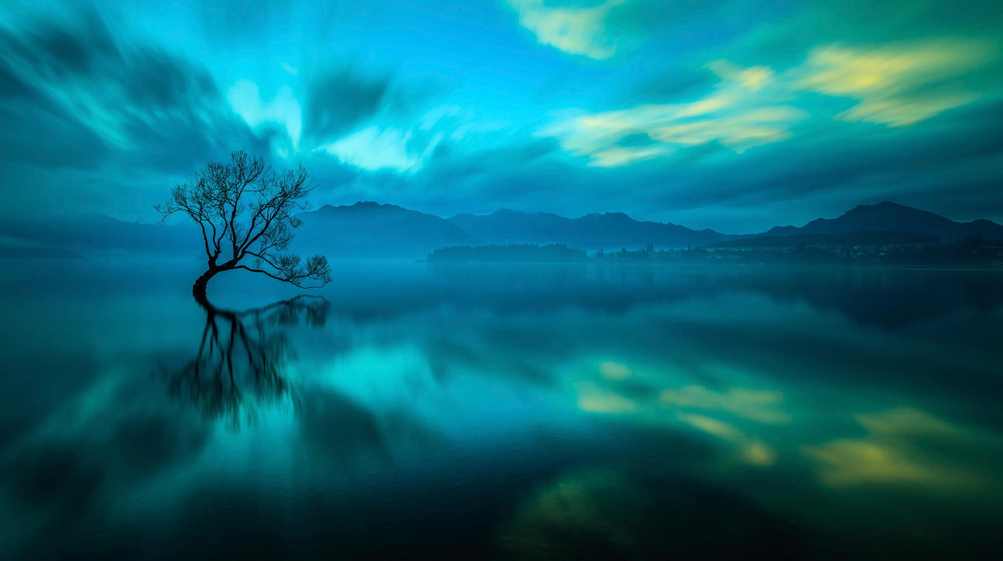 1080P, lake, New Zealand, tree, Wanaka, HD Wallpaper