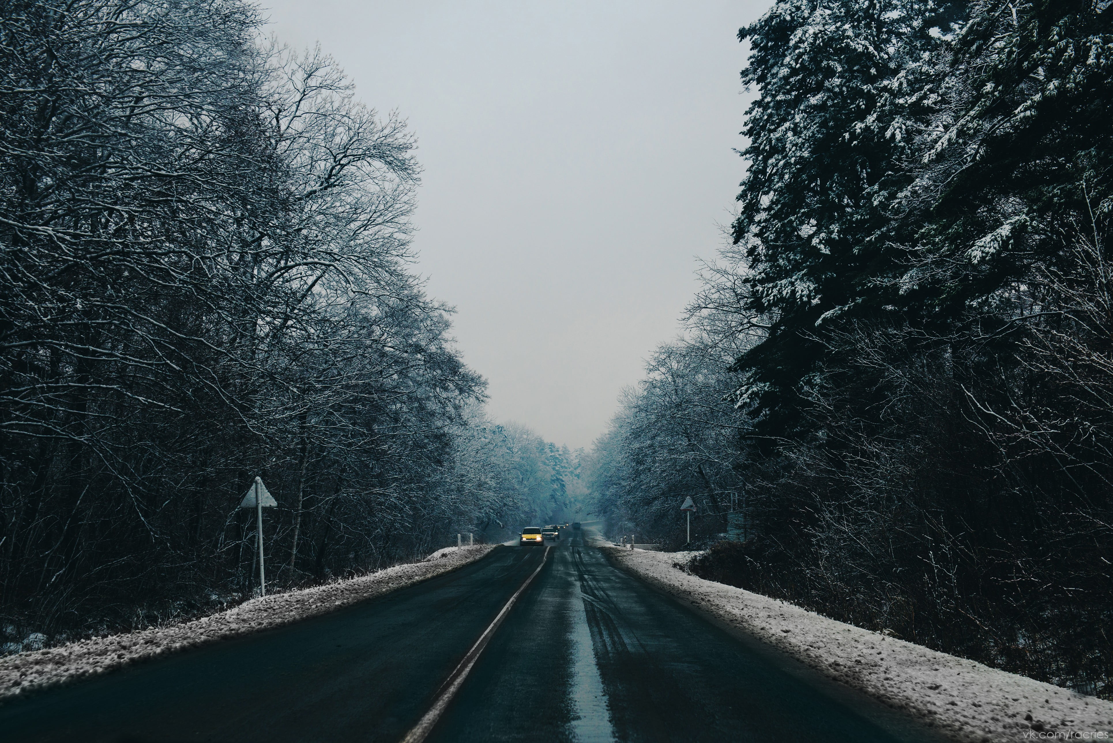 landscape, direction, diminishing perspective, road marking, trees, bare tree, no people, concrete, winter, transportation, vanishing point, clear sky, HD Wallpaper