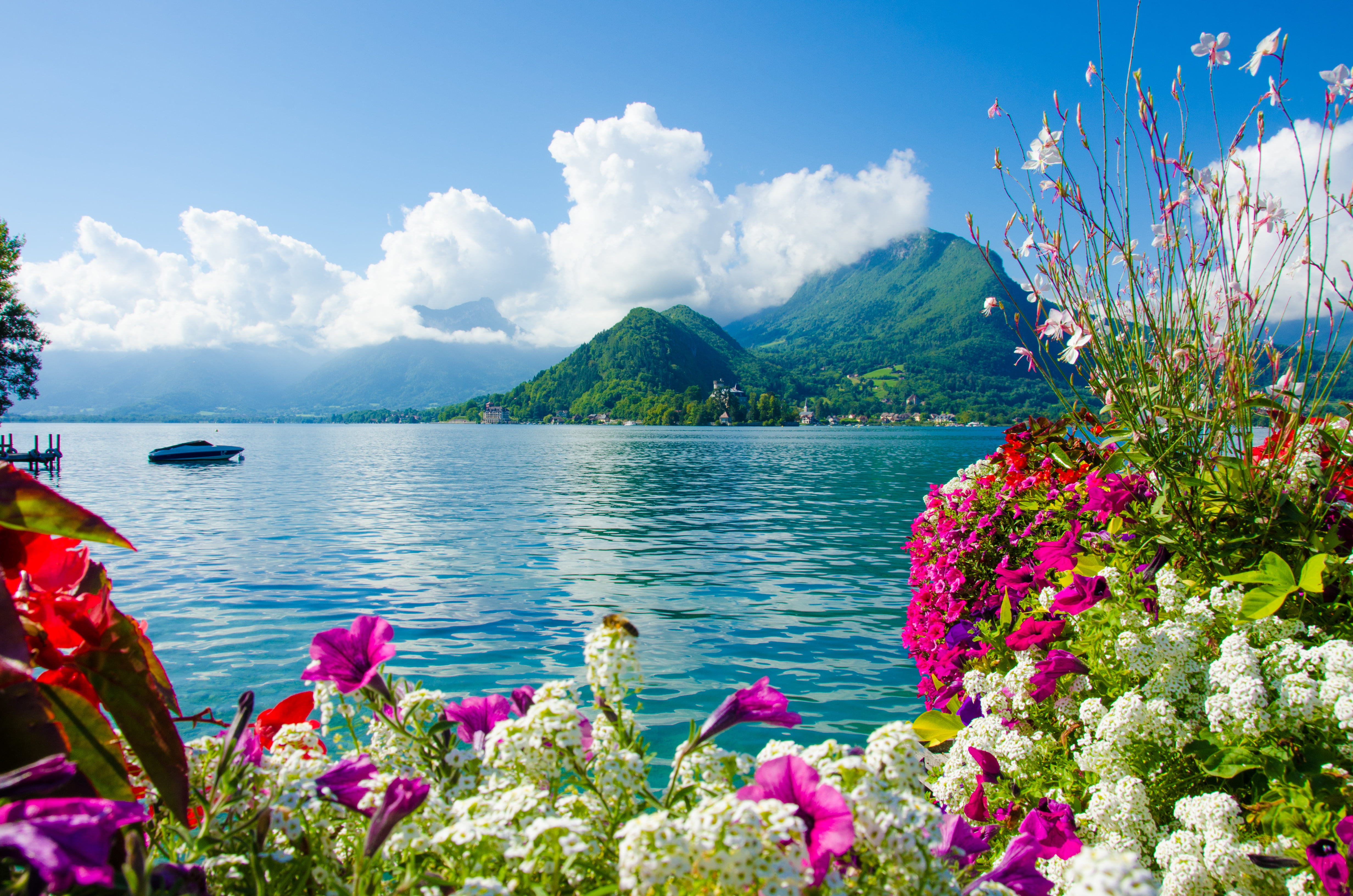 island, tranquil scene, travel Destinations, springtime, petaled, tranquility, sea, travel, multi Colored, plant, summer, no People, famous Place, boat, HD Wallpaper