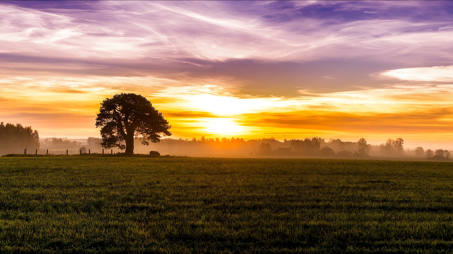 Dawn, Sky, Trees, Fog, Meadow, Clouds, Morning, Fields, Sunrise, 1080P, HD Wallpaper