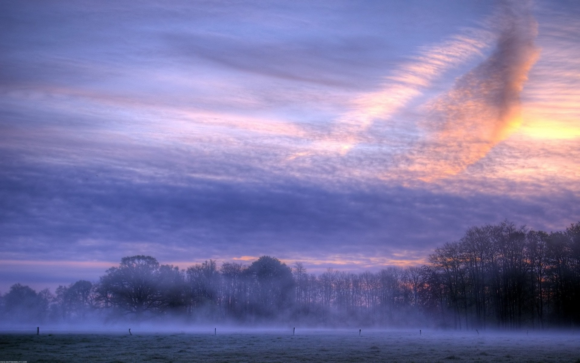 Sunrise, 1080P, Morning, Trees, Clouds, Fog, Dawn, HD Wallpaper