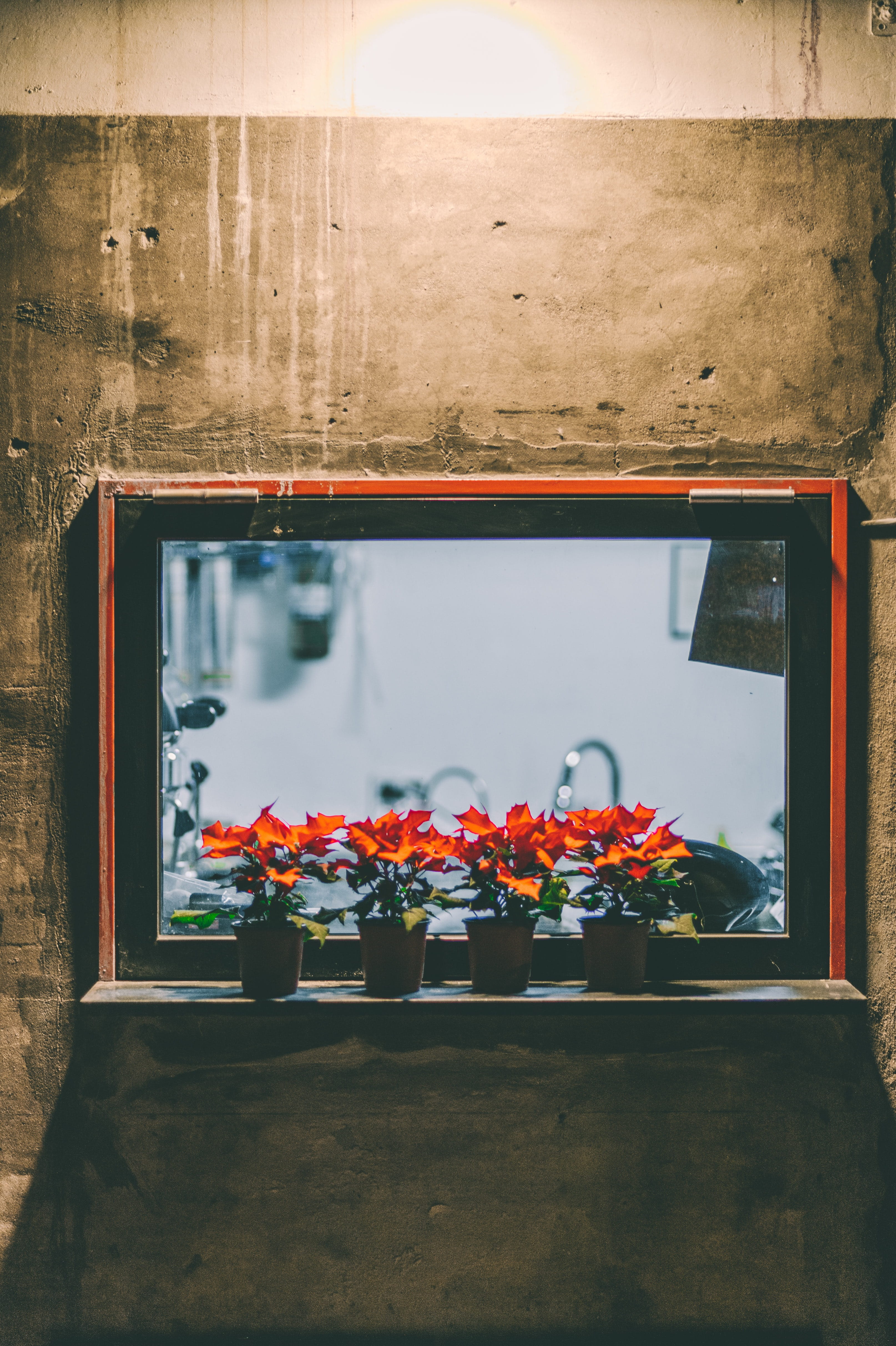 south korea, modern art, vase, reflection, 9-32 ihwa-dong, red, four, architecture, orange, glass - material, herbs, pot, growth, ihwa-dong, day, close-up, Phone HD Wallpaper
