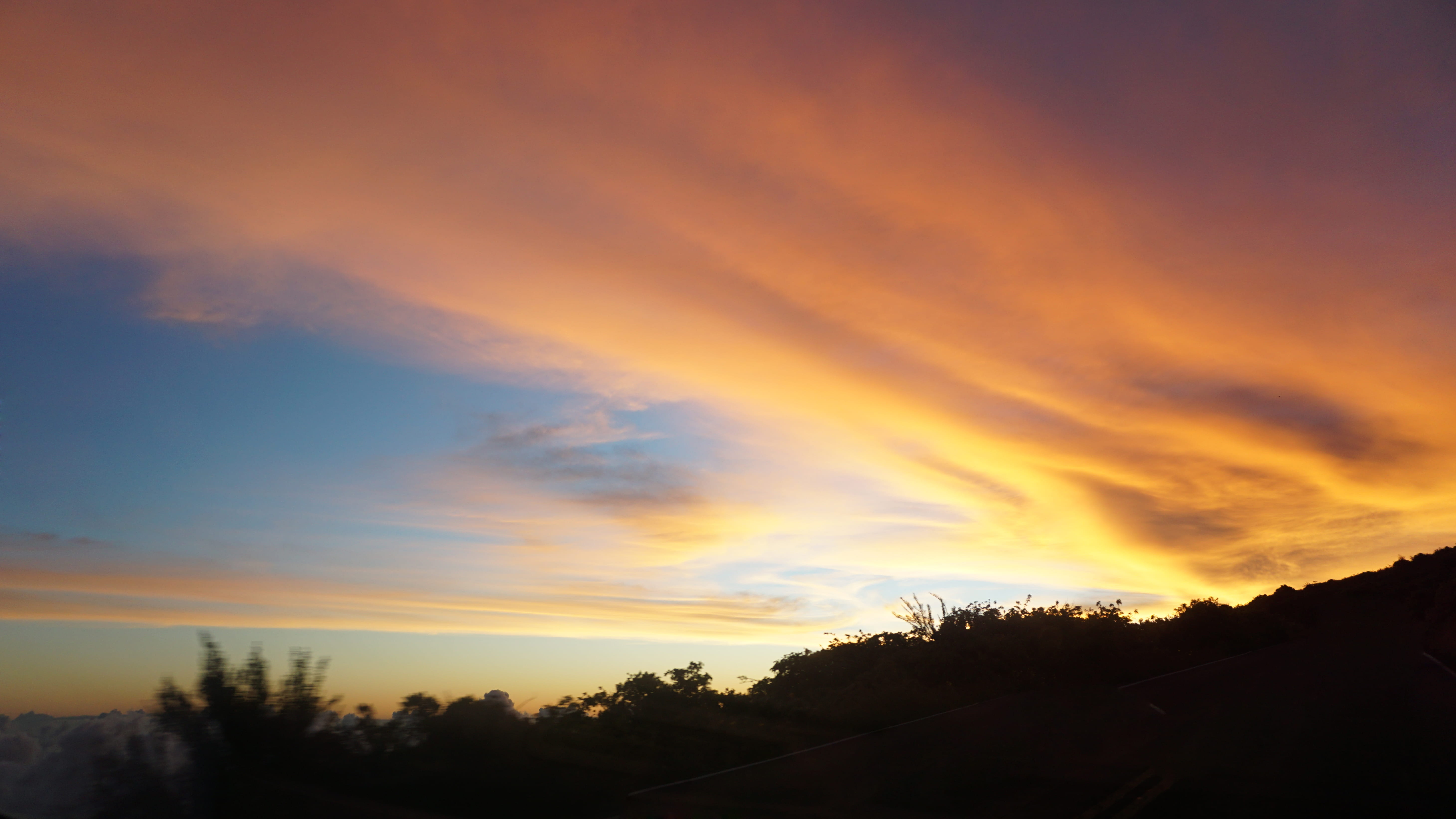 nature, dramatic sky, silhouette, kula, cloud - sky, plant, idyllic, no people, haleakala summit parking, sky, tree, growth, low angle view, romantic sky, HD Wallpaper