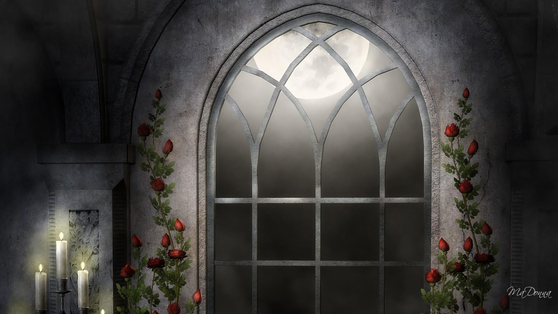 light, firefox persona, moon, 3d and abstract, cles, roses, religious, 1080P, bright, window, gothic, goth, cathedral, HD Wallpaper