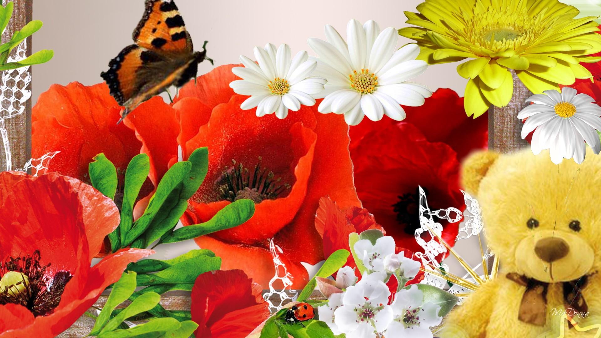 flowers, papillon, daisy, bear, fleurs, bright, spring, apple blossoms, nature, butterfly, teddy, 1080P, summer, poppies, HD Wallpaper