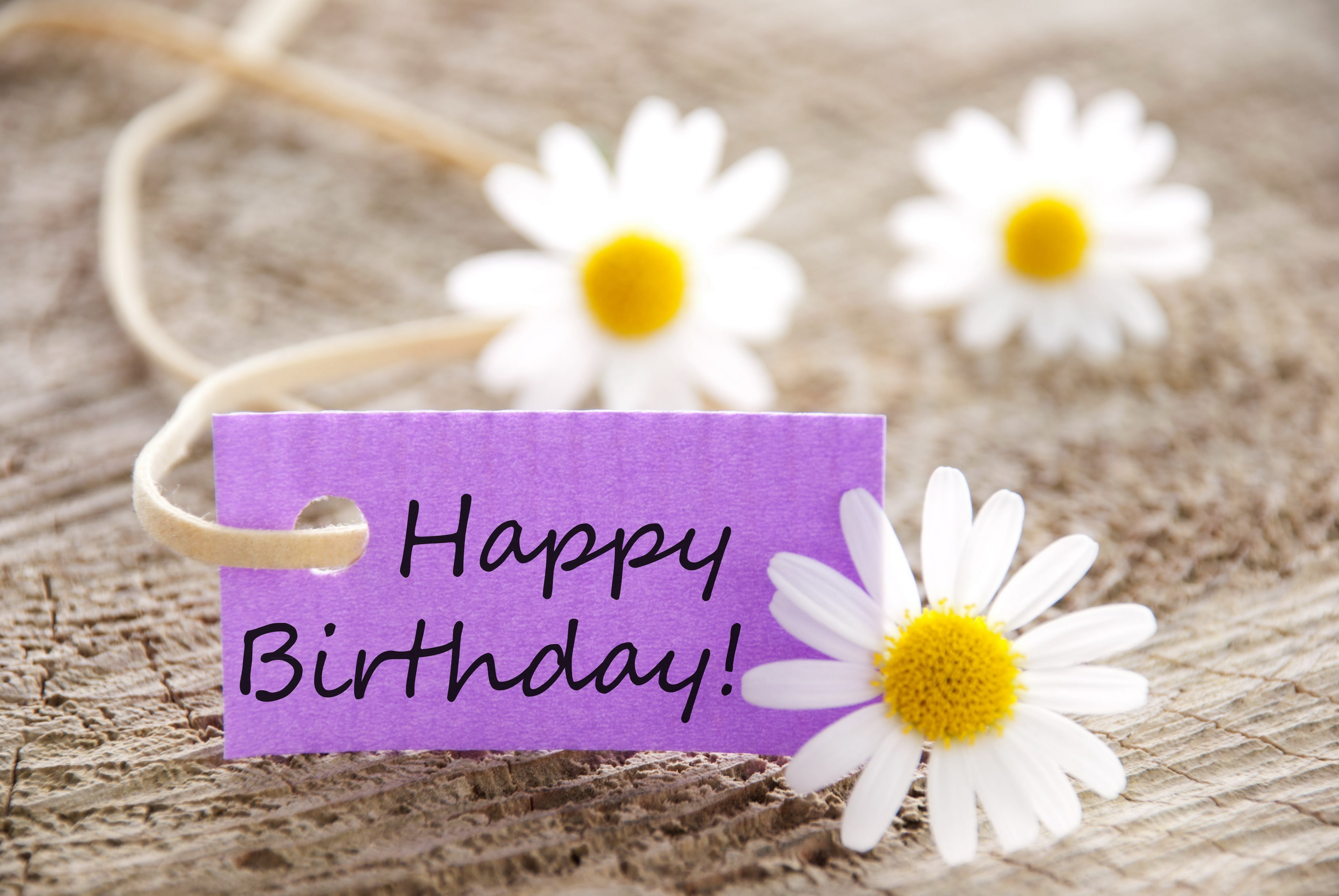 greeting Card, petal, Birthday, fragility, wood - Material, single Word, vulnerability, yellow, thank You, sign, mothers Day, close-up, gift, paper, flowering plant, HD Wallpaper