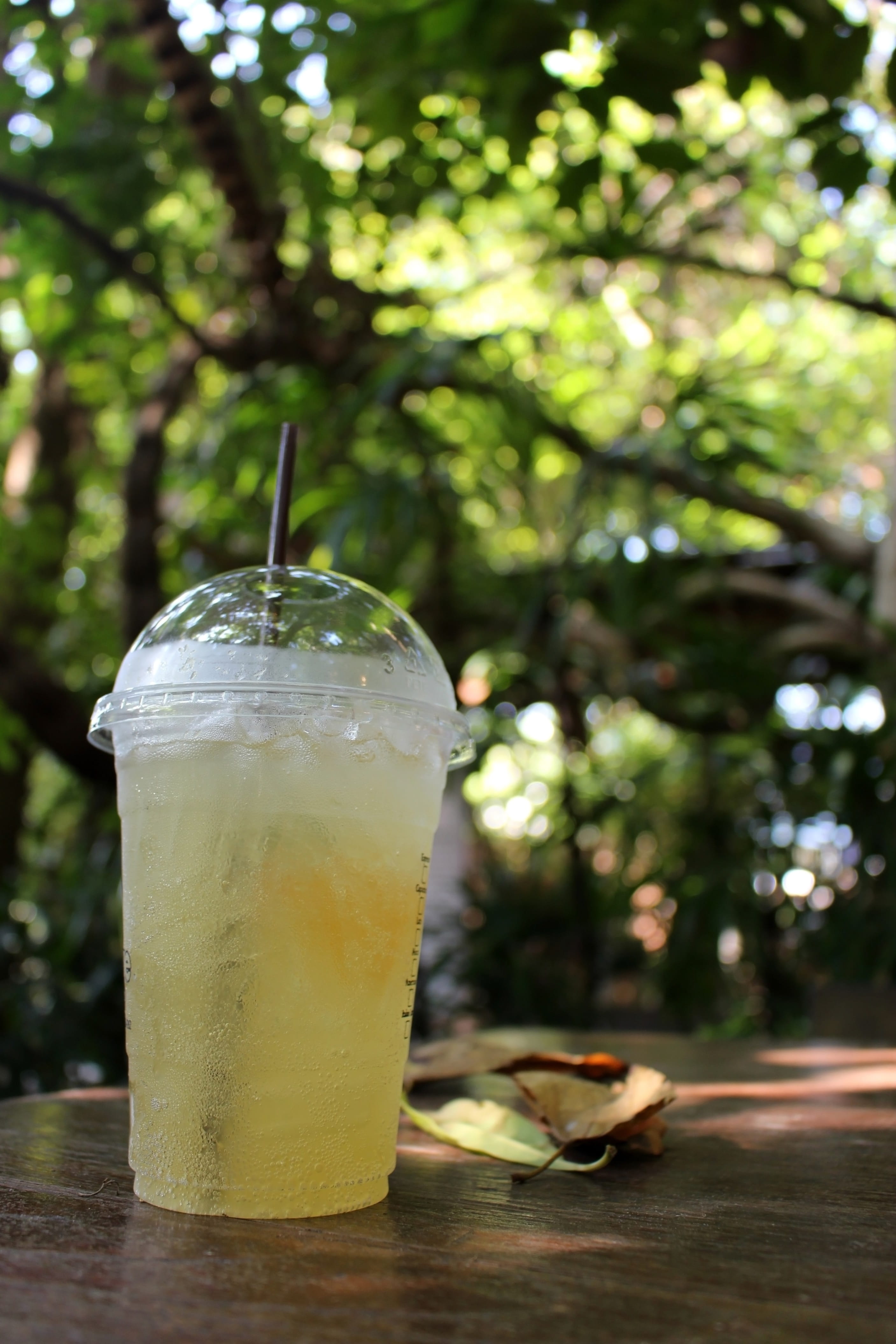 garden, caffeine, glass, drink, food and drink, mint leaf - culinary, 4K, straw, leaf, hot, sunshine, soda, day, food, table, household equipment, cold, Phone HD Wallpaper