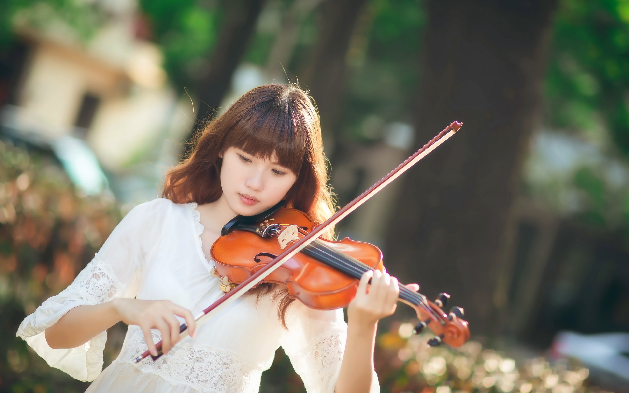 Music, Girl, Sunlight, Asian, 2K, Violin, HD Wallpaper