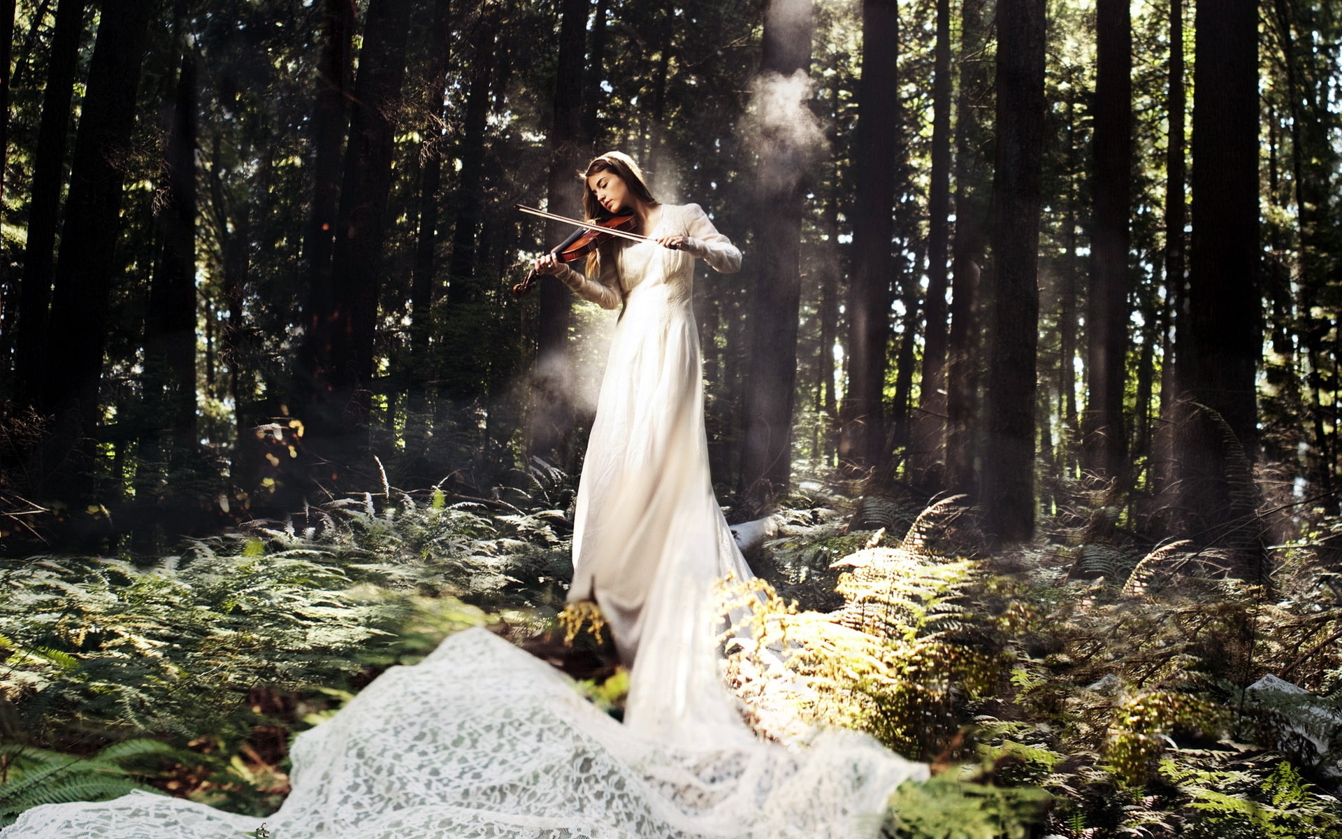 1080P, Dress, White, Violin, Music, Play, Girl, Forest, HD Wallpaper