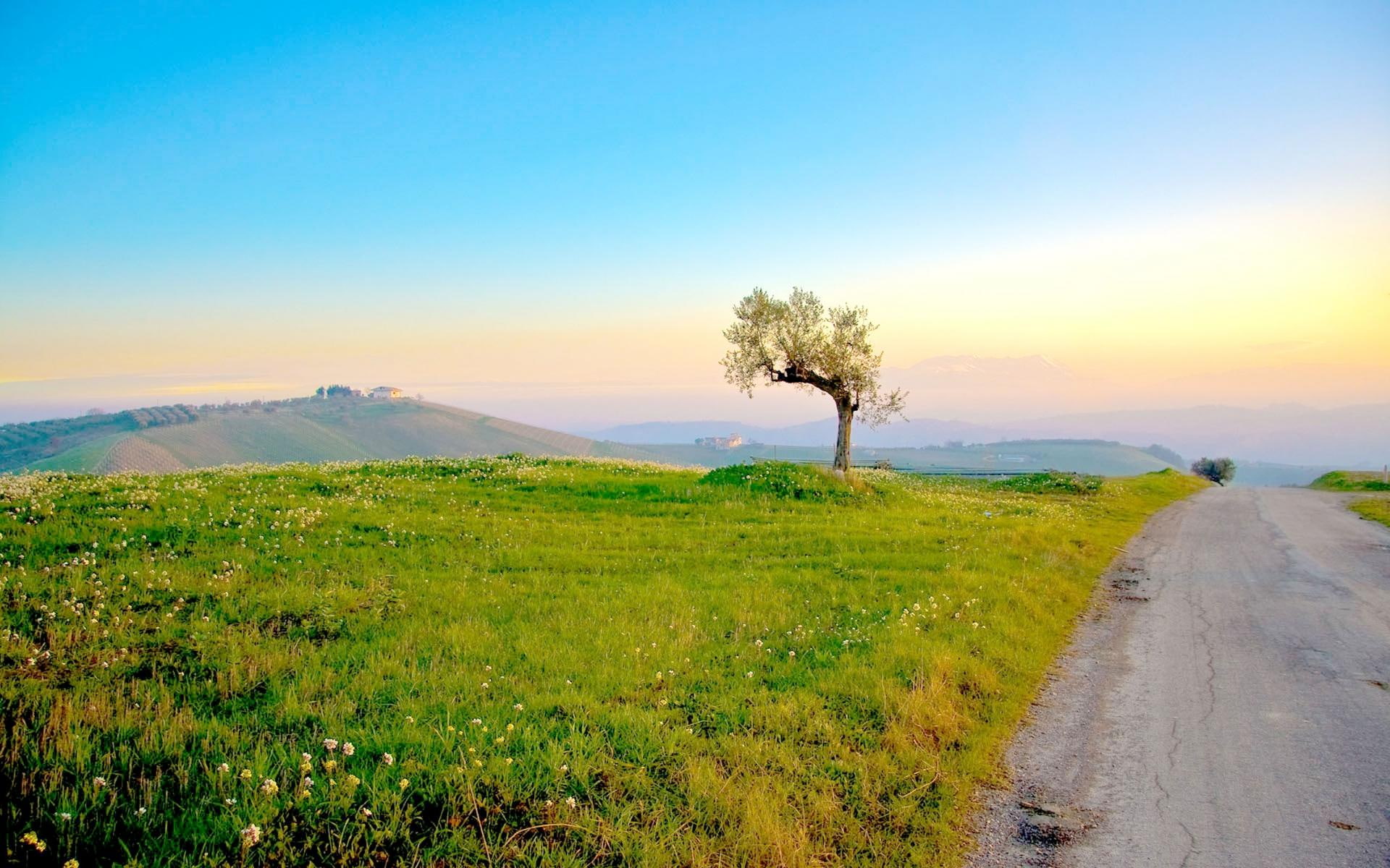 fields, nature and landscapes, nature, end, summer, 1080P, s, HD Wallpaper
