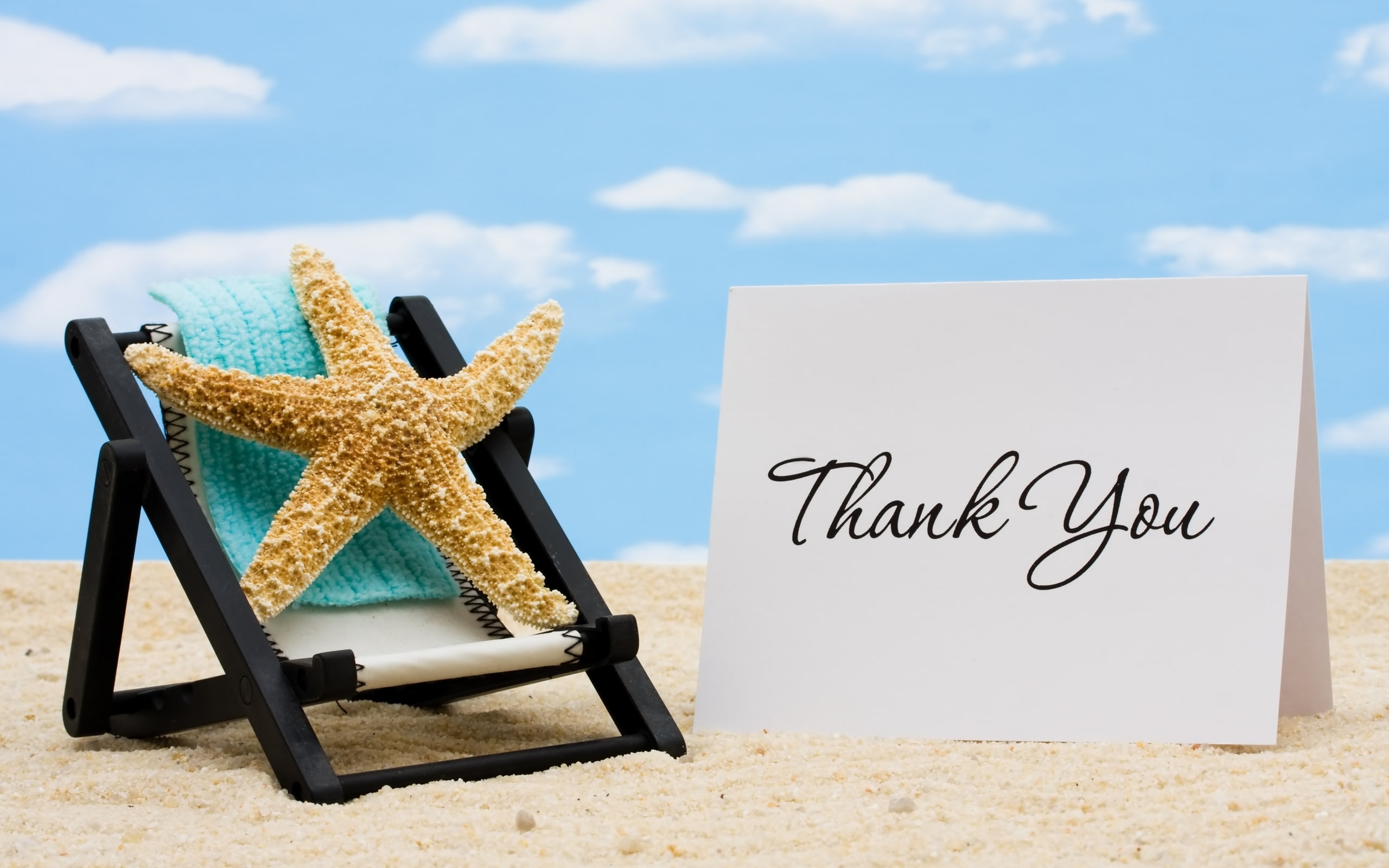 summer, starfish, summer holidays, thank, 2K, HD Wallpaper
