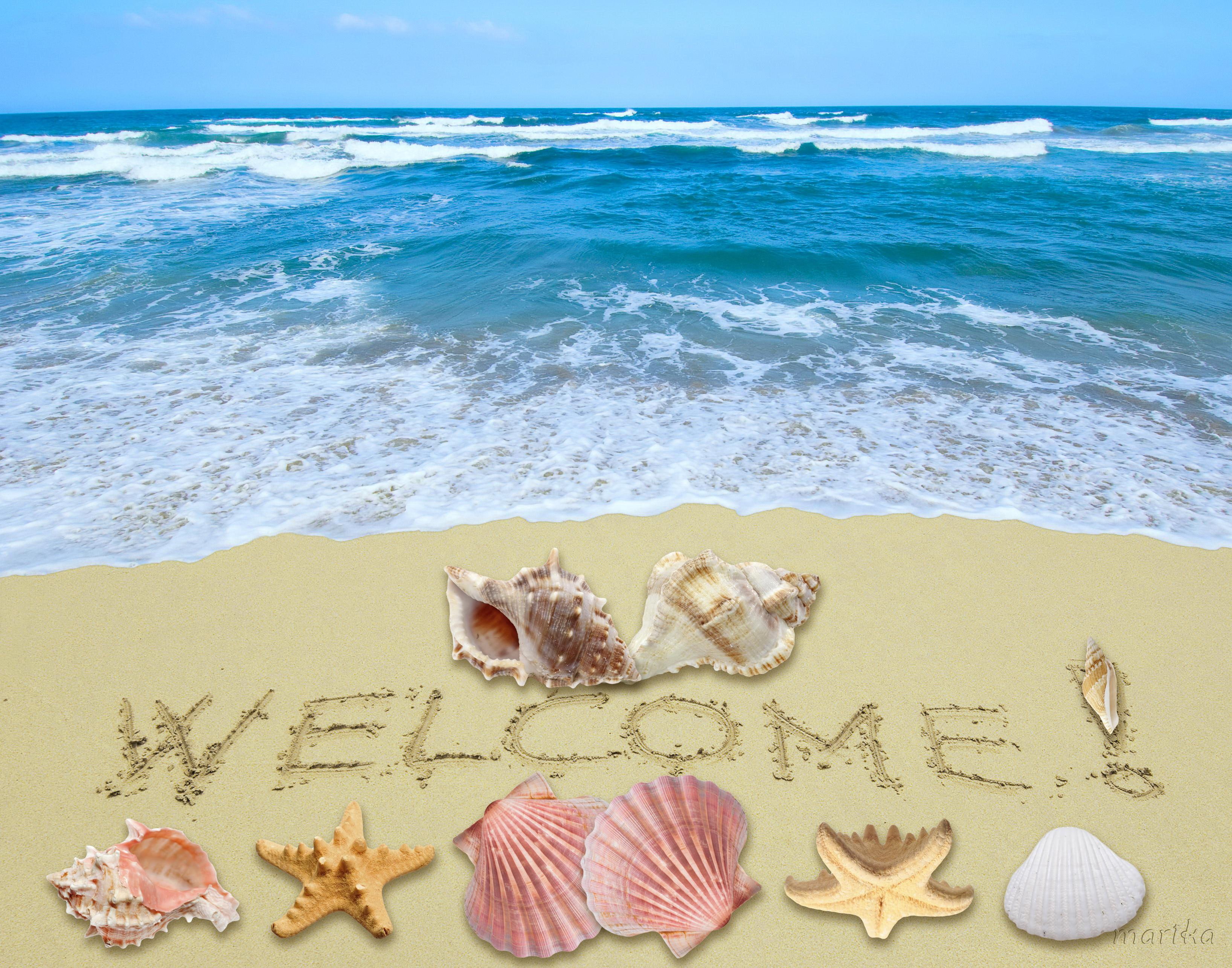 summer, beach, welcome, sunshine, sand, starfish, shells, 2K, HD Wallpaper