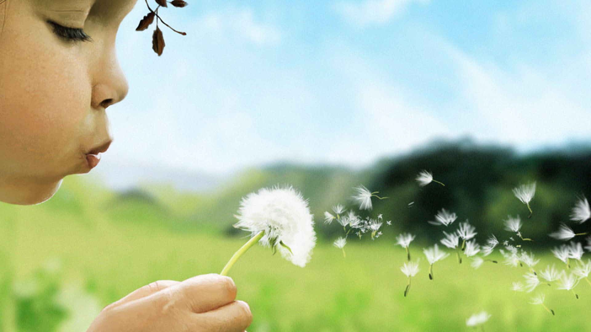child, dandelion, child girl, blowing, plant, flower, 1920x1080, girl, 1080P, taraxacum, HD Wallpaper