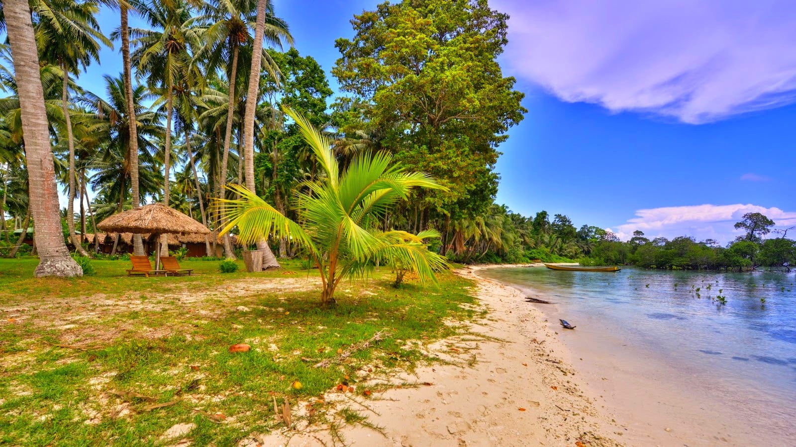 tranquility, coconut palm tree, tranquil scene, plant, scenics - nature, tropical climate, blue, palm, beach, chair, cloud - sky, 720P, beauty in nature, HD Wallpaper