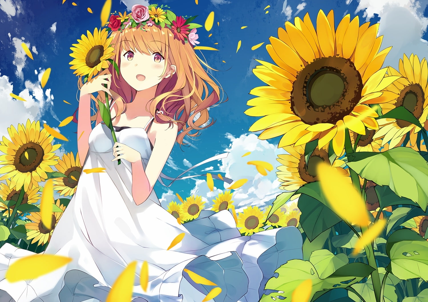 plant, no people, white dress, nature, vulnerability, digital composite, freshness, yellow, outdoors, 720P, pollen, creativity, flower head, close-up, HD Wallpaper