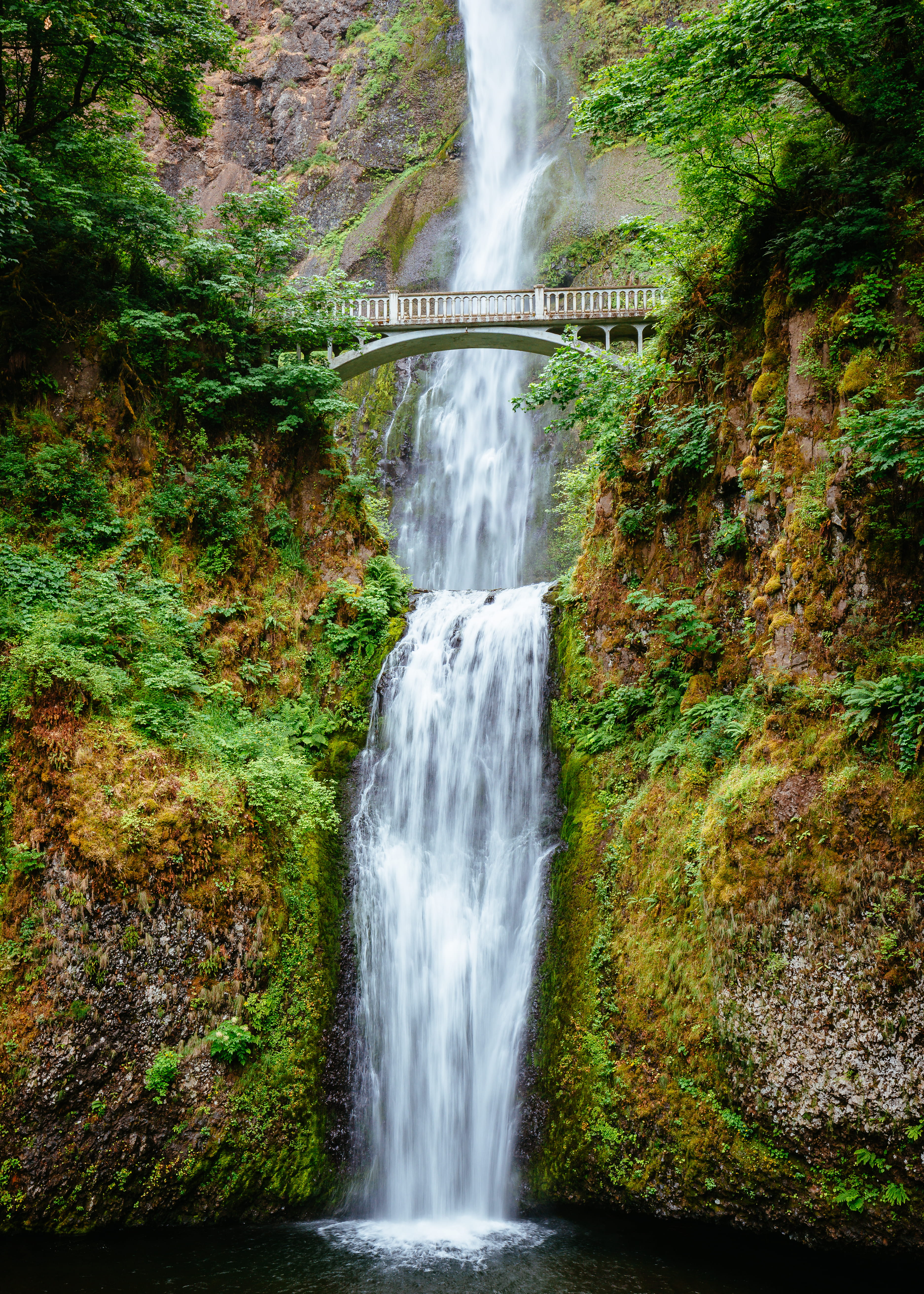 power in nature, green, connection, 5K, beauty in nature, architecture, day, oregon, no people, nature, blurred motion, forest, multnomah falls, arch bridge, Phone HD Wallpaper