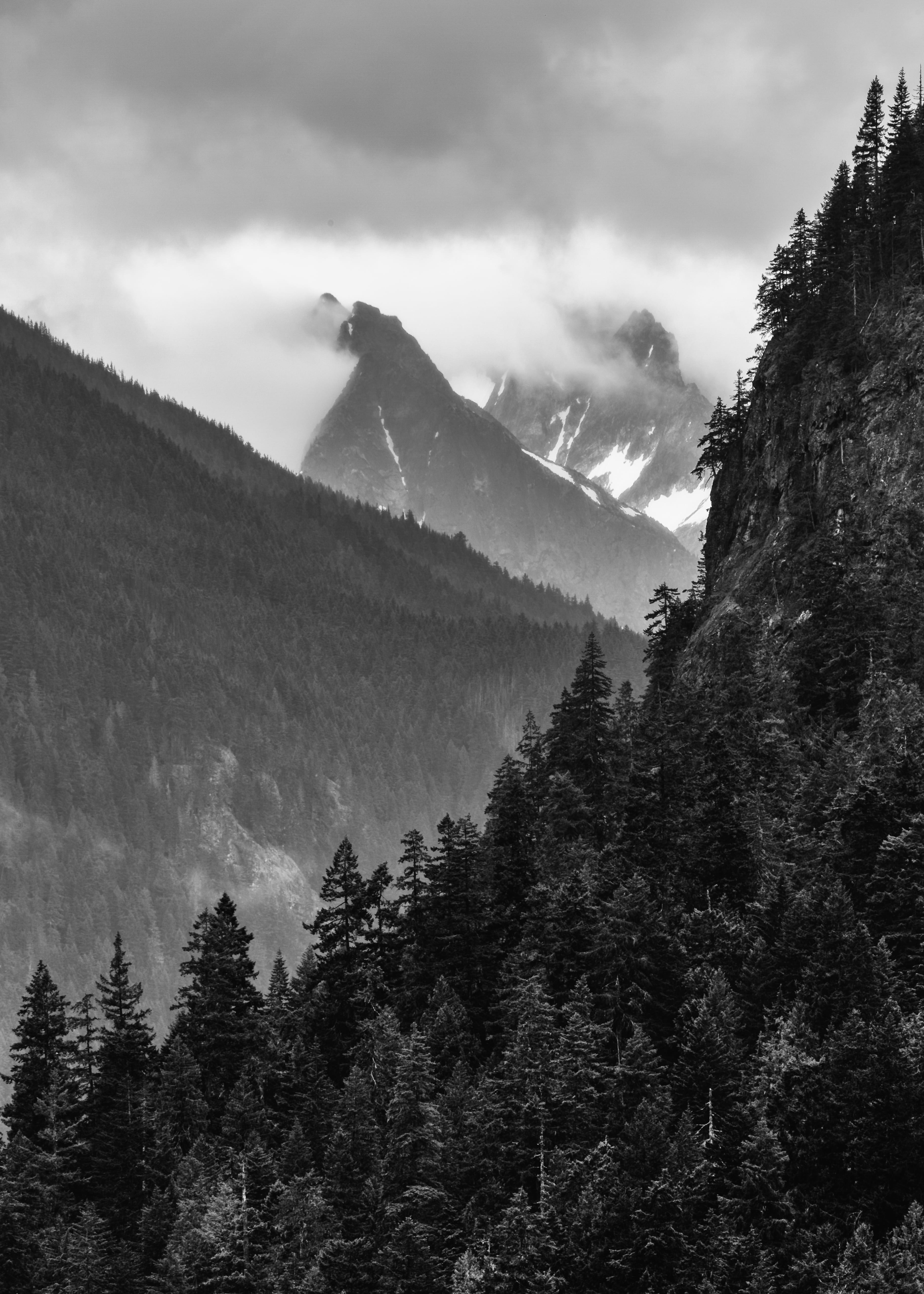north cascade, 5K, non-urban scene, outdoors, nature, grayscale, day, land, no people, beauty in nature, mountains, tree, growth, plant, monochrome, black and white, Phone HD Wallpaper