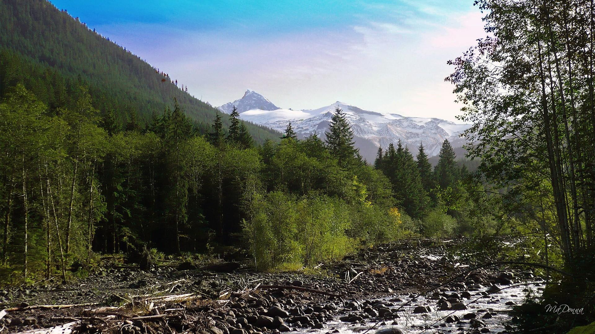 afternoon, mountain, brook, pacific northwest, baker, mount, 3d and abstr, stream, fall, 1080P, washington, volcano, creek, forest, HD Wallpaper