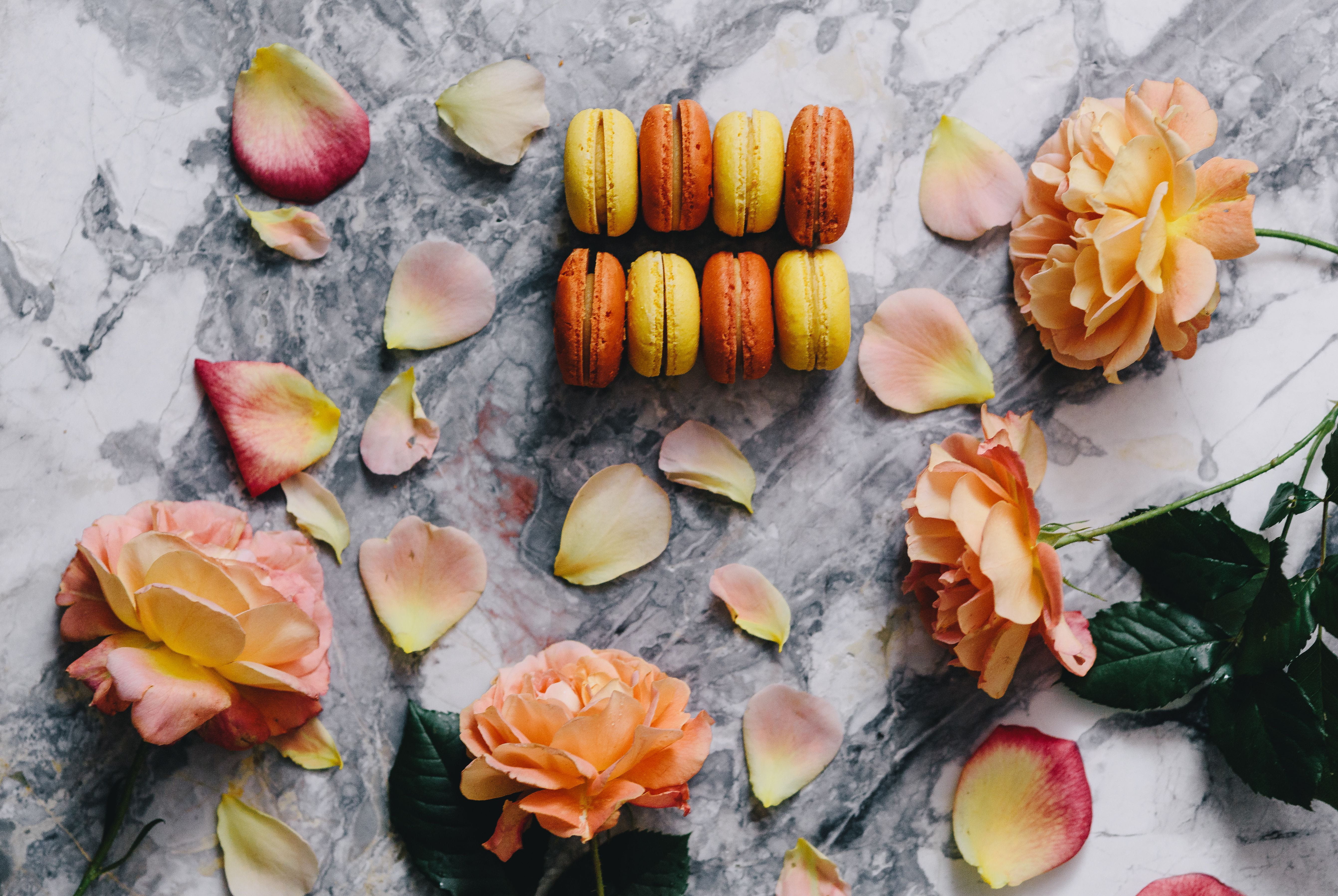 Overhead view, orange, petals, yellow, large group of objects, rose petals, slice, view, flowering plant, above, no people, fruit, cookie, carrot, still life, HD Wallpaper