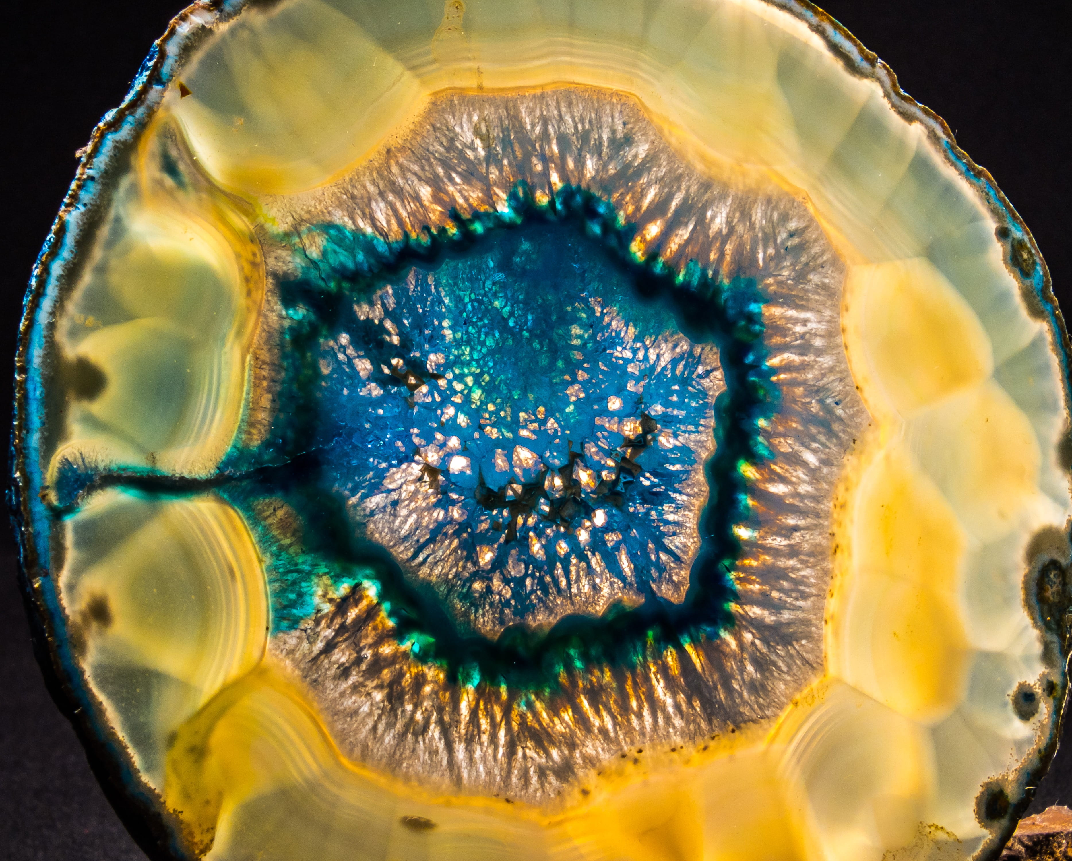 yellow, indoors, studio shot, biology, shape, blue, food and drink, macro, close-up, 2K, healthcare and medicine, black background, anatomy, magnification, HD Wallpaper