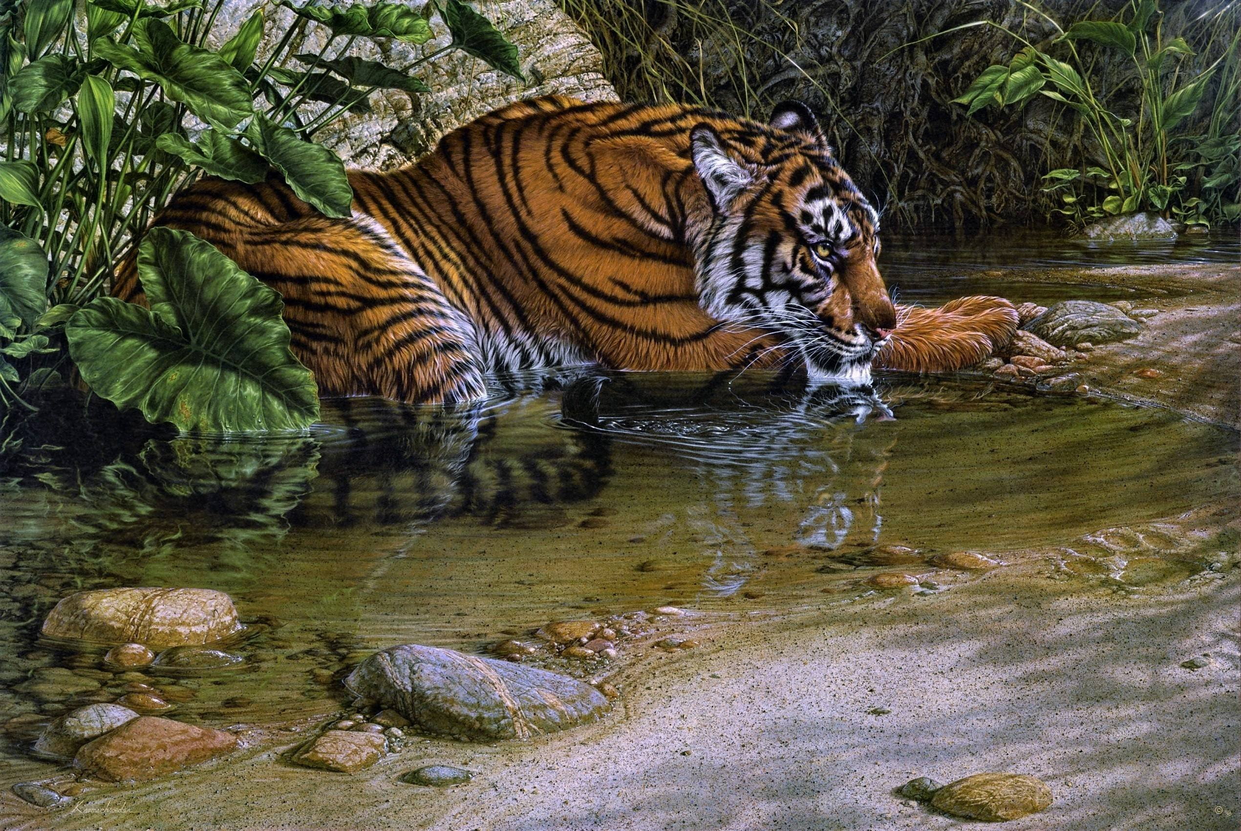 1080P, tigre-jungla-animales-pintura-agua-selva, HD Wallpaper