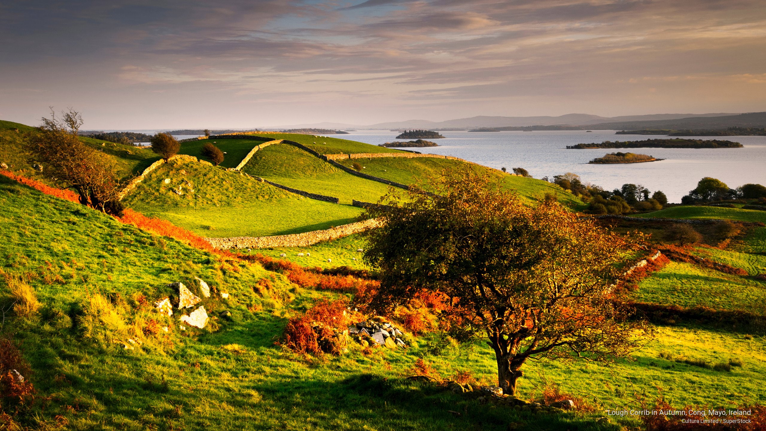 cong, corrib, mayo, lough, Fall, autumn, ireland, 2K, HD Wallpaper