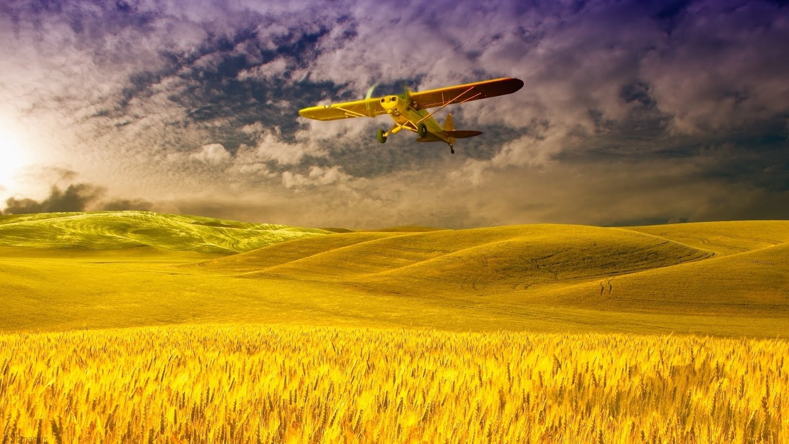 trigo, campos, 720P, avioneta, HD Wallpaper
