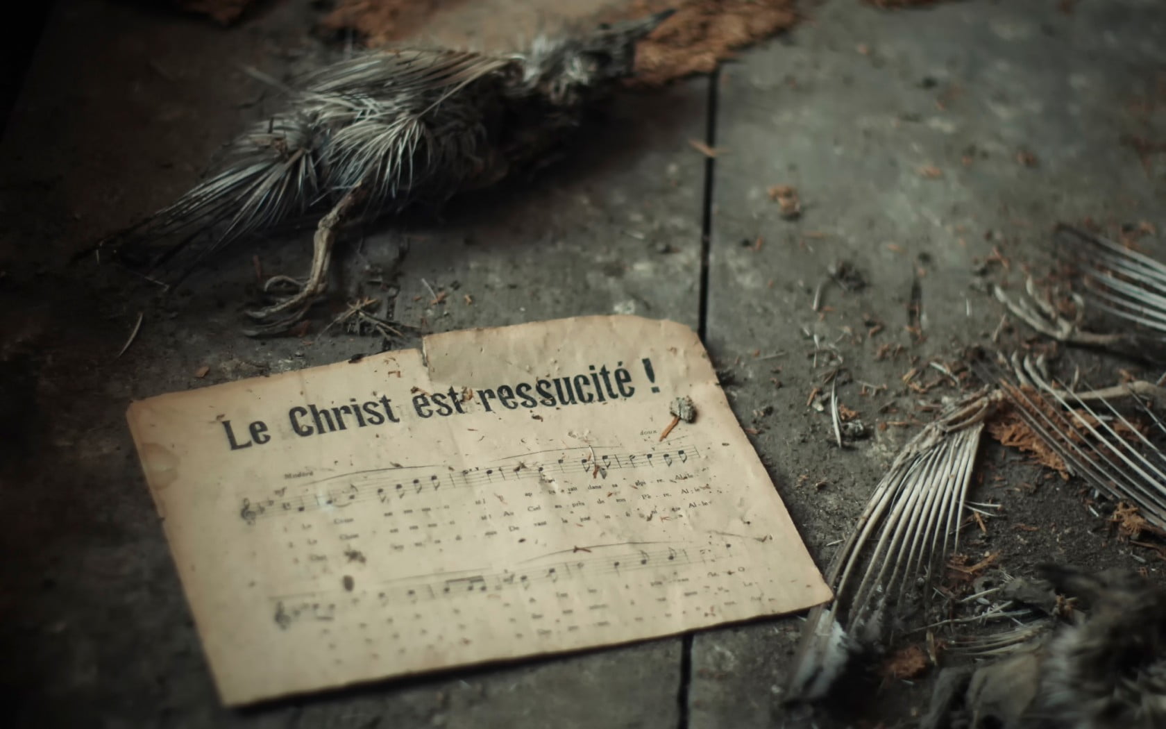 text, communication, still life, publication, outdoors, 720P, sign, selective focus, day, ressucite, poster, high angle view, christ, information, wood - material, HD Wallpaper