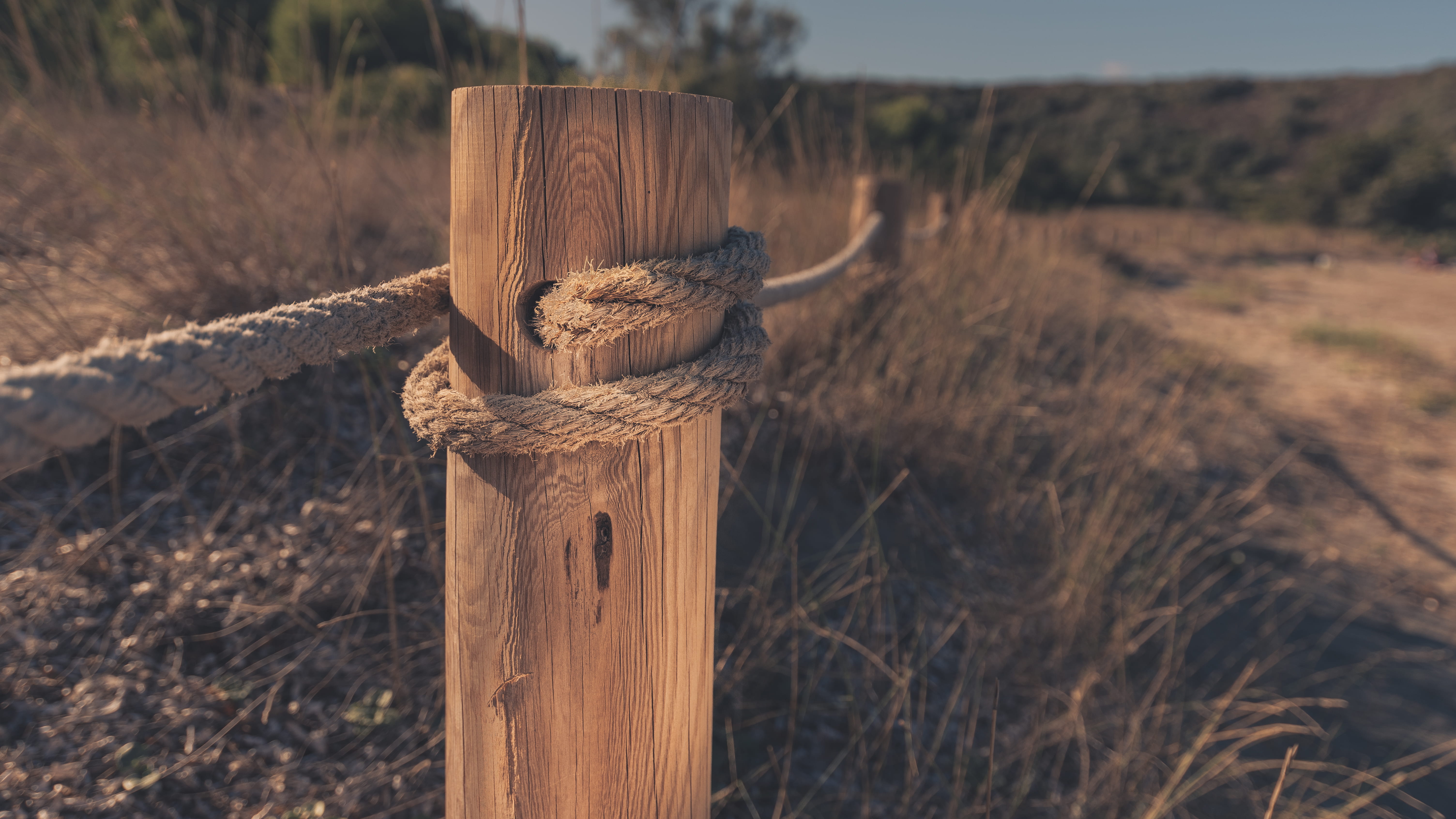 field, wood, wooden post, tree stump, land, outdoors, nature, no people, focus on foreground, beach, close-up, post, day, spain, wood - material, es grau - menorca, HD Wallpaper
