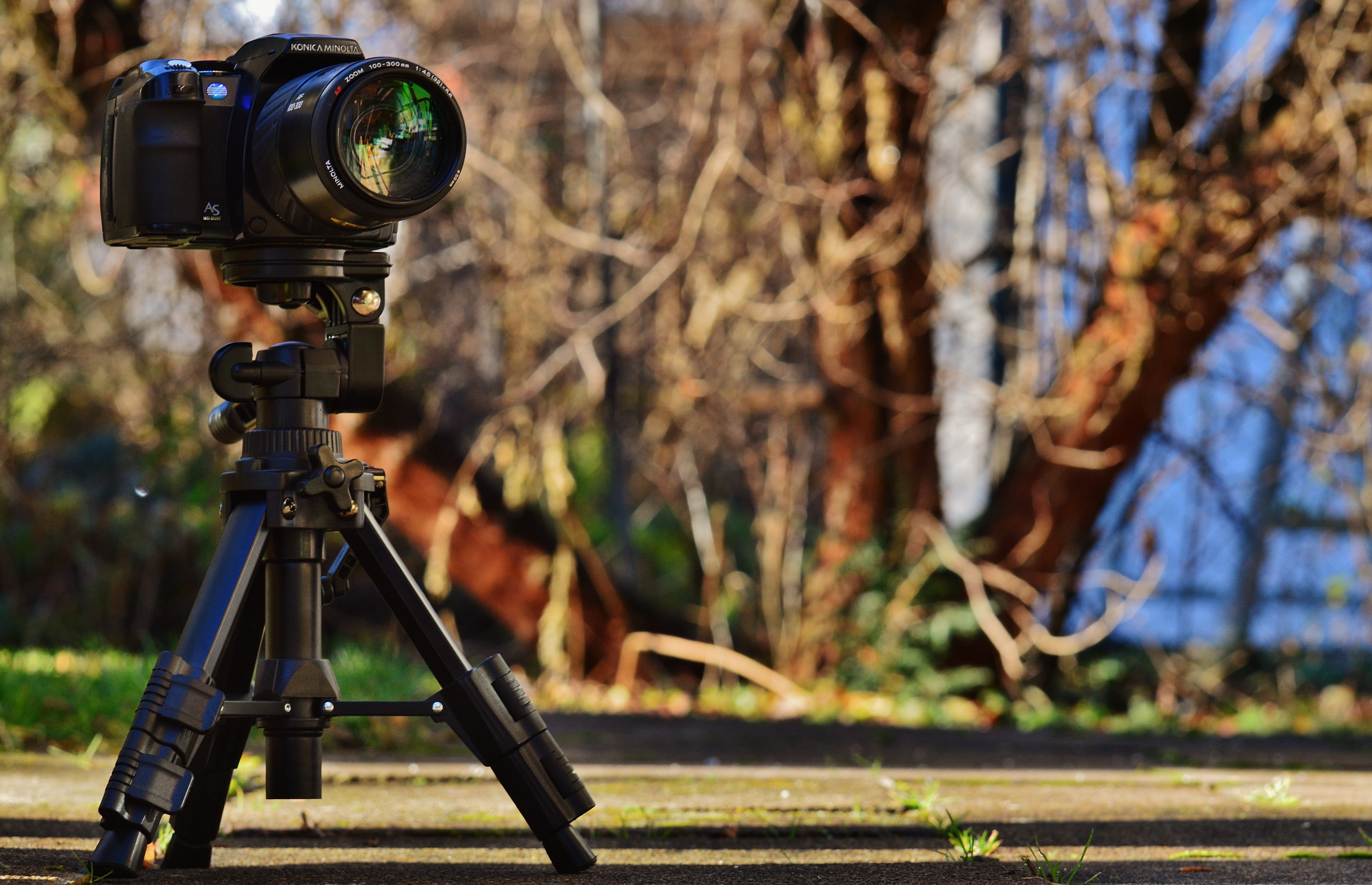 focus on foreground, photographer, old camera, tree, lens - optical instrument, photo camera, camera - photographic equipment, lens, television camera, HD Wallpaper