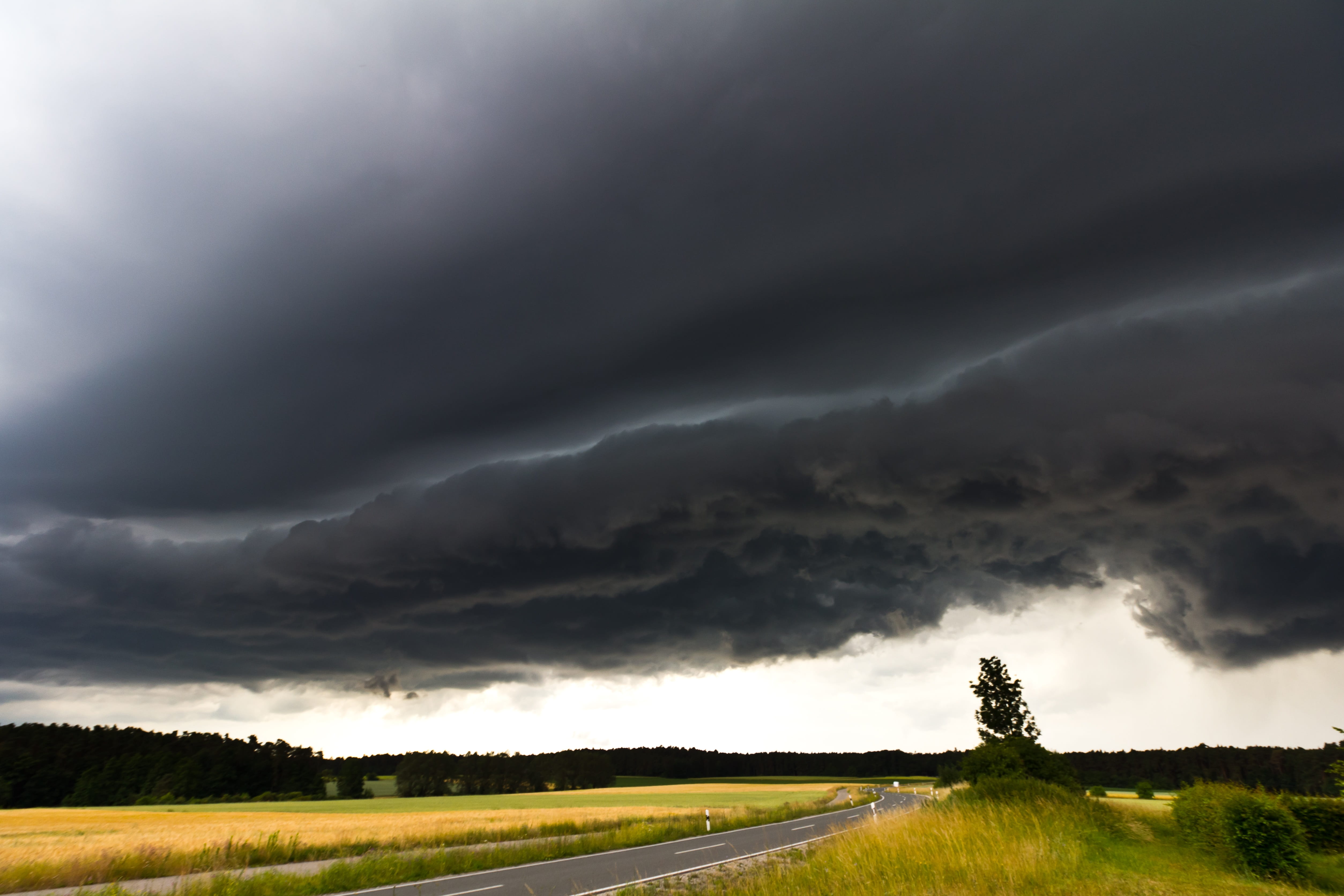 environment, dark clouds, field, nature, meteorology, tree, storm cloud, forward, scenics - nature, super cell, outdoors, beauty in nature, tranquility, HD Wallpaper
