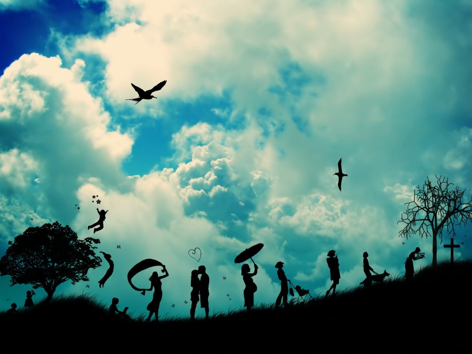 bird, grass, cloud - Sky, back Lit, woman, vertebrate, outdoors, airplane, summer, animal wildlife, 720P, group Of People, celebration, transportation, HD Wallpaper